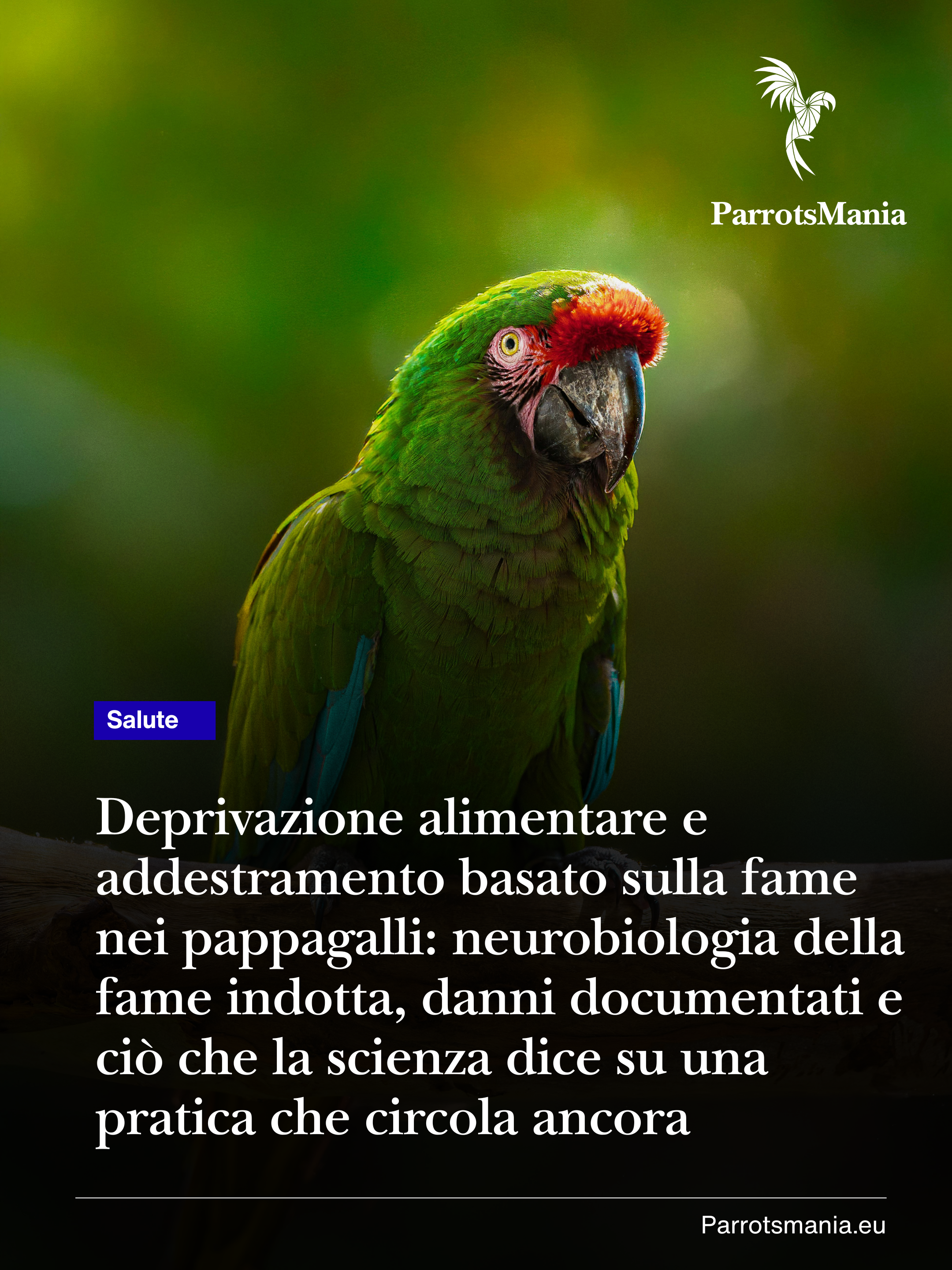 Deprivazione alimentare e addestramento basato sulla fame nei pappagalli: neurobiologia della fame indotta, danni documentati e ciò che la scienza dice su una pratica che circola ancora