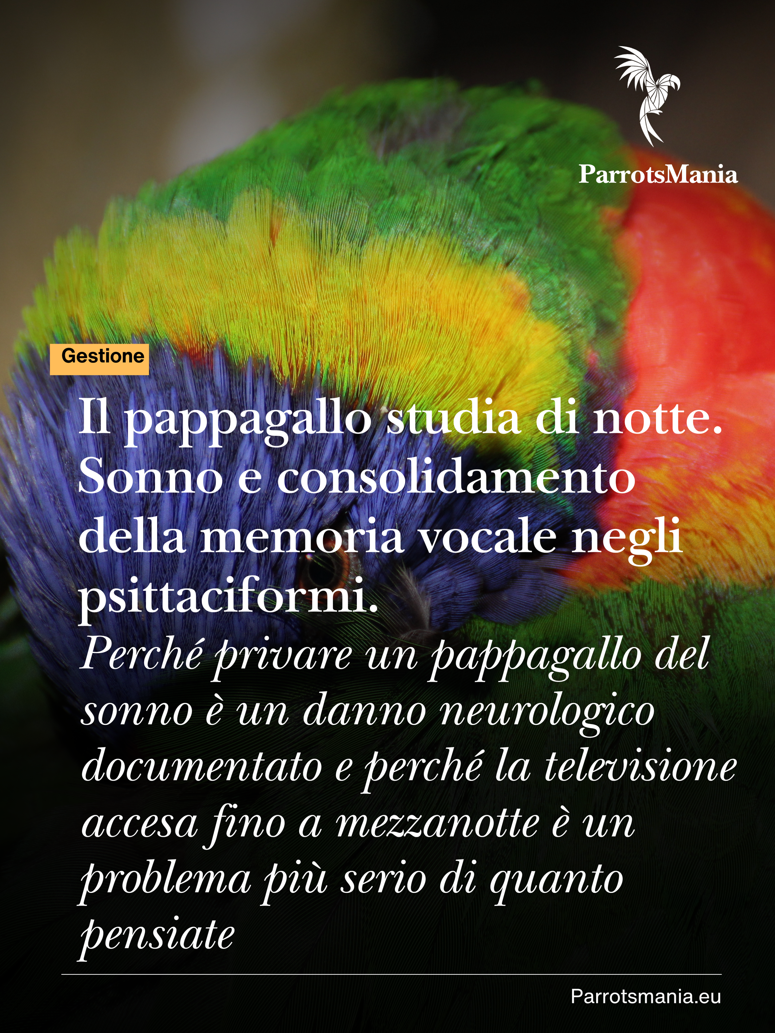 Il pappagallo studia di notte. Sonno e consolidamento della memoria vocale negli psittaciformi. 