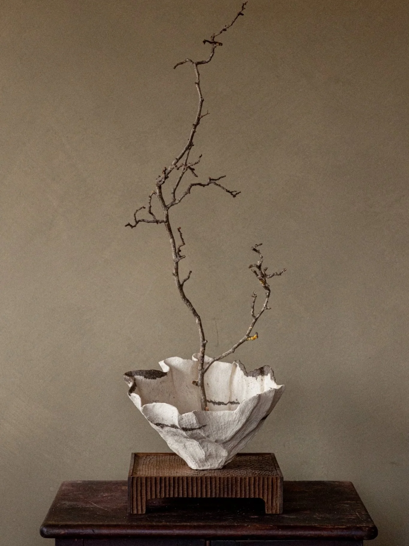 Hand-built sculptural vase in white grogged stoneware.

#pottery #ceramics #vase #ceramicvase #handbuiltpottery