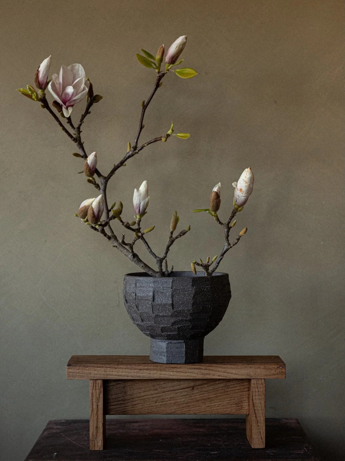 Stoneware ikebana bowl &amp; magnolia 🤍
It finally feels like spring in Scotland&hellip; I couldn&rsquo;t resist asking my neighbour for a wee branch from their beautiful tree.

#pottery #ceramics #ceramicart #ikebana #magnolia