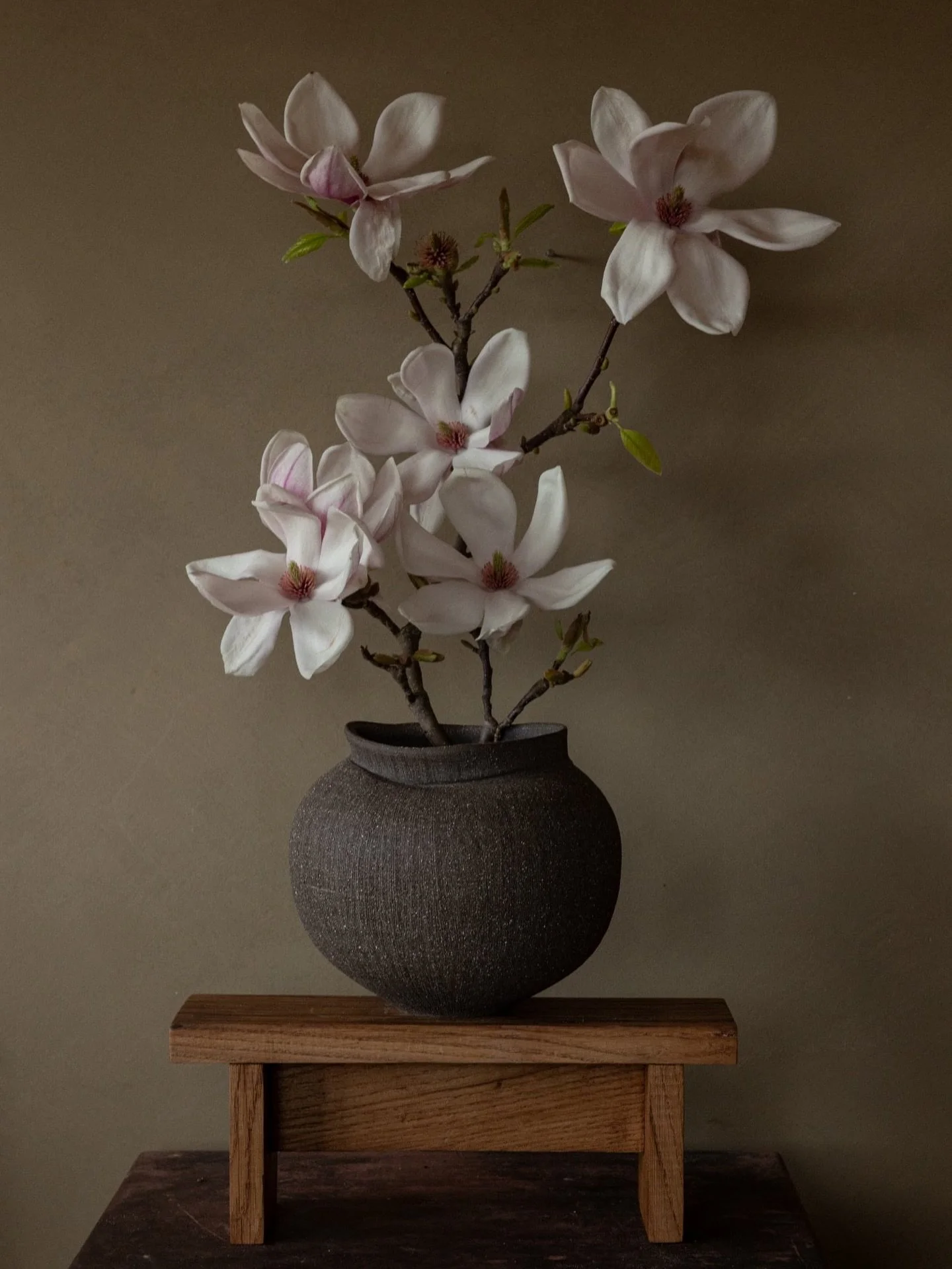 Stoneware textured vase and magnolias.

Took a little break from the wheel while my family was visiting from Poland but I can&rsquo;t wait to get back to making. Time to start preparing for Potfest in June 😅

#pottery #ceramics #ceramicsofınstagram 