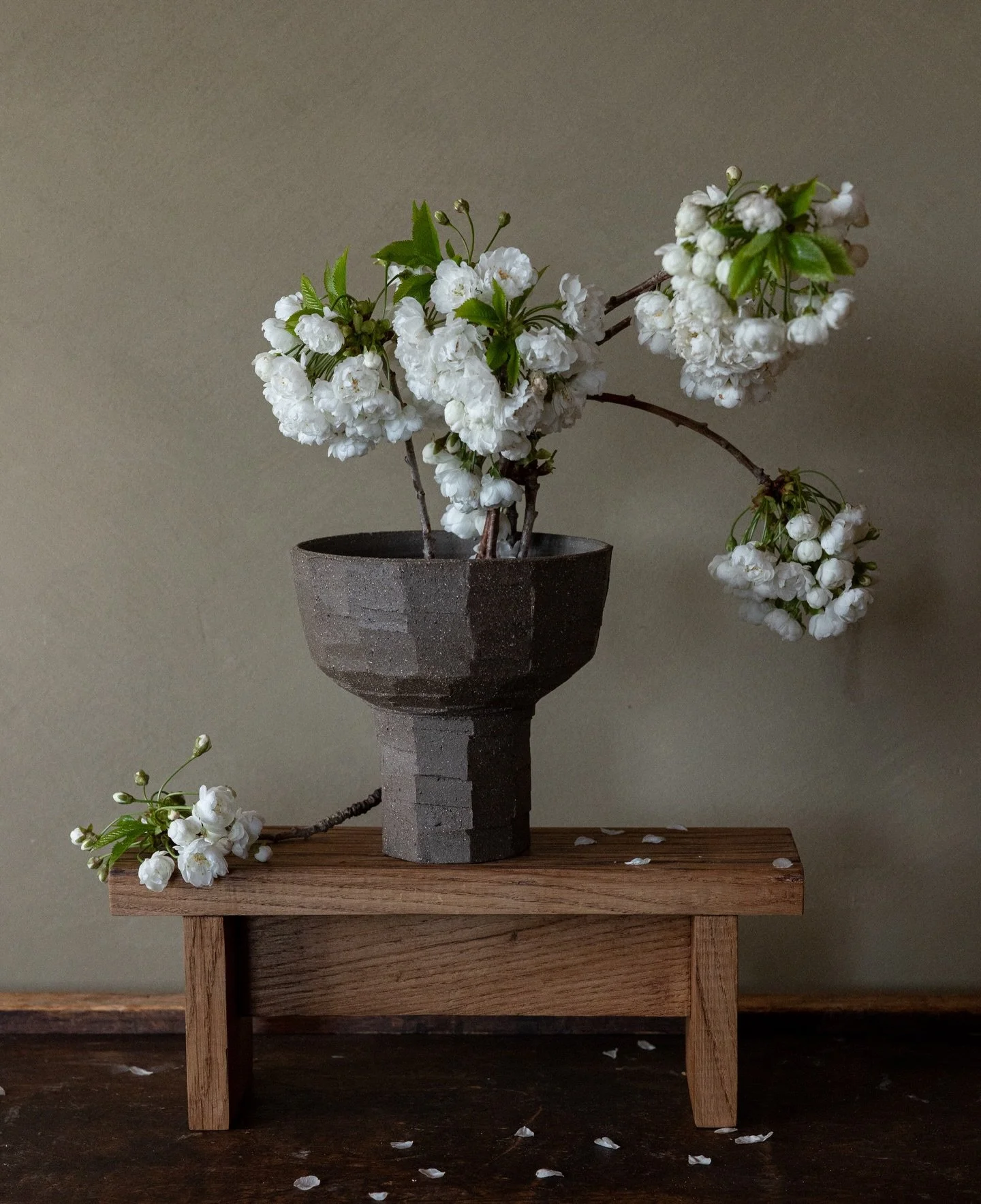 Stoneware carved ikebana bowl with weeping cherry blossoms.

#pottery #ceramique #ceramics #ikebana #flowerarrangement