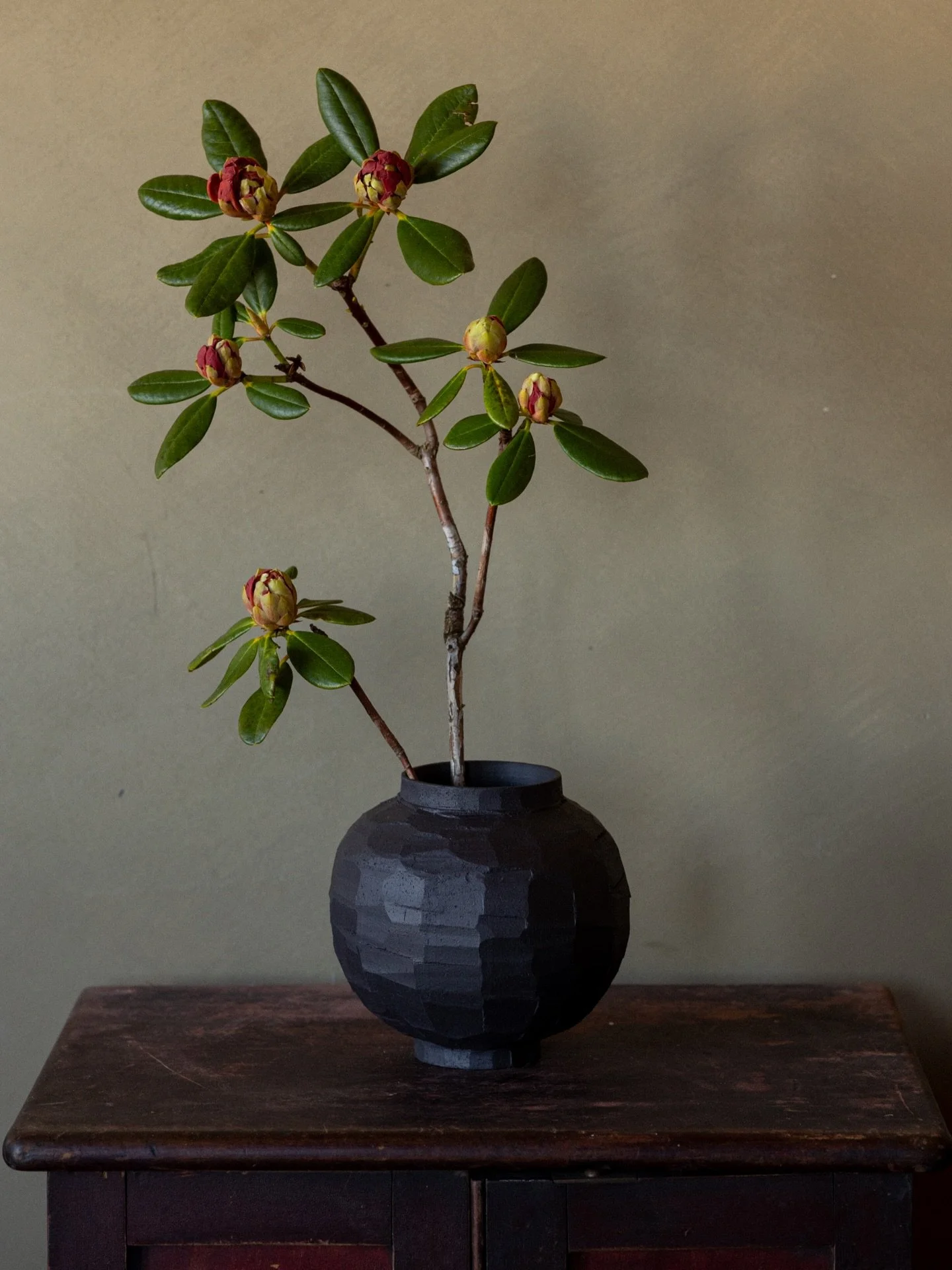 Black stoneware Moonjar and rododendron 🖤

#pottery #ceramics #moonjar #vase #flowerarranging
