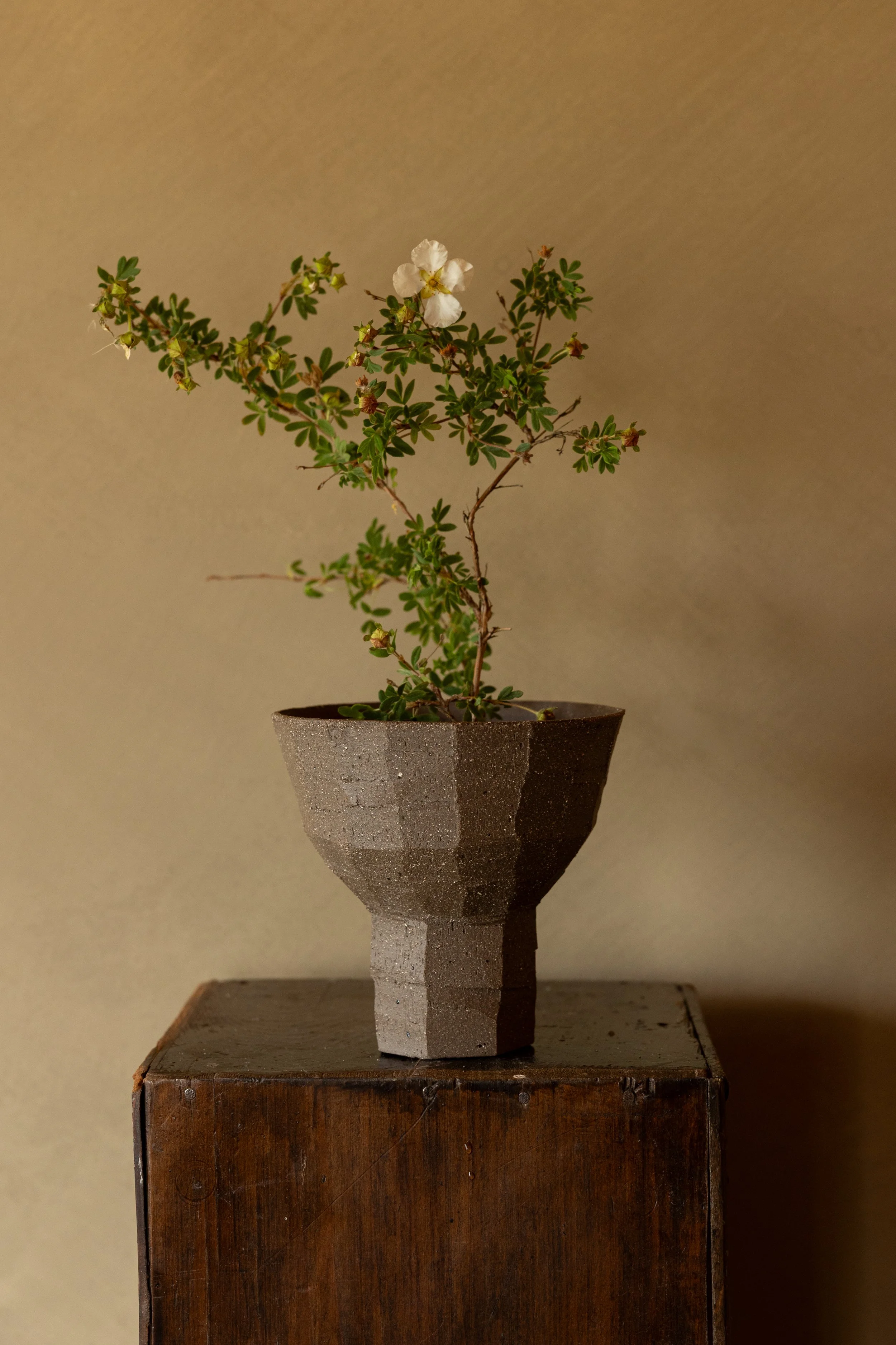 Ikebana bowl 3