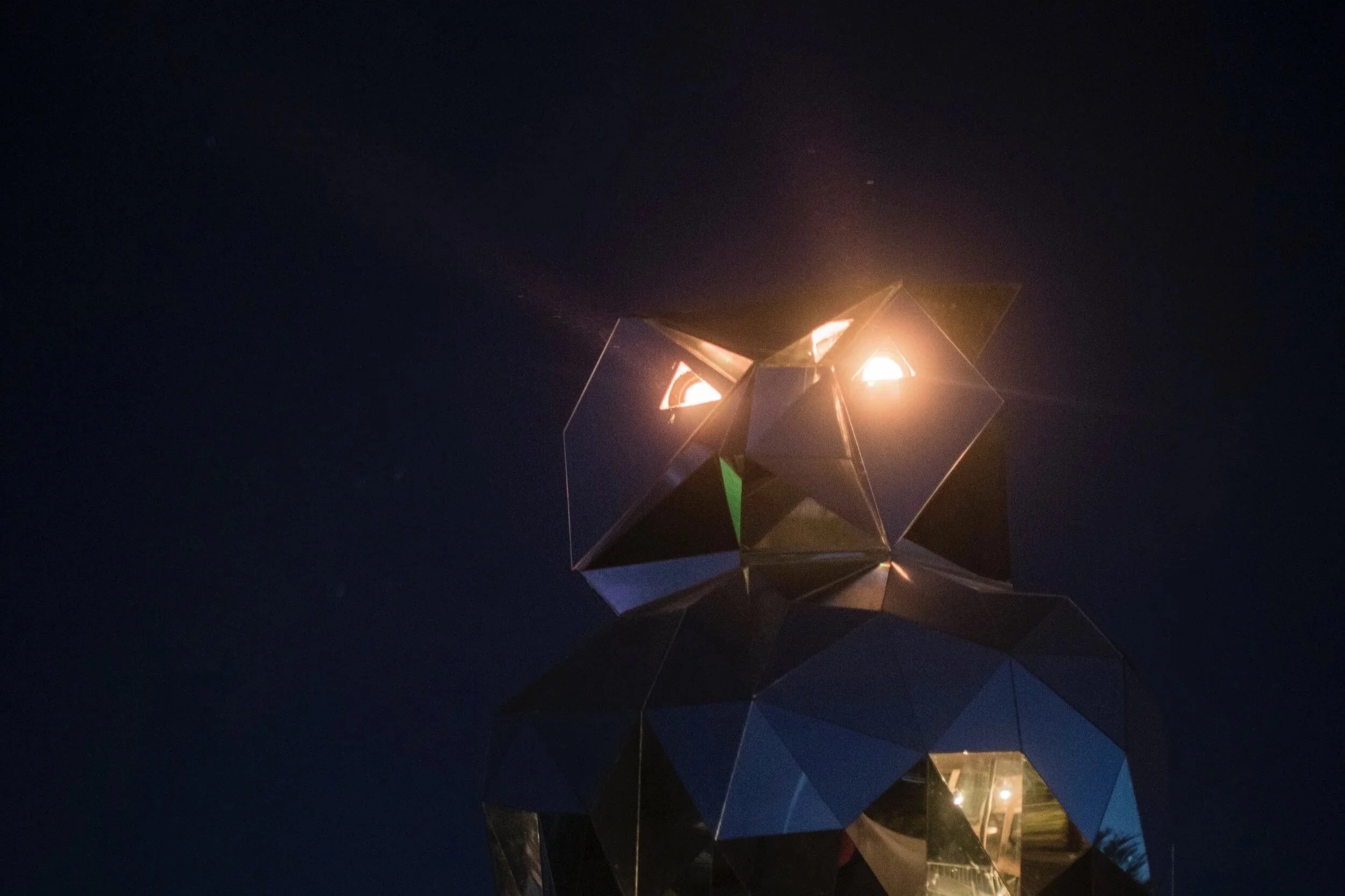 Laser Owl_2017