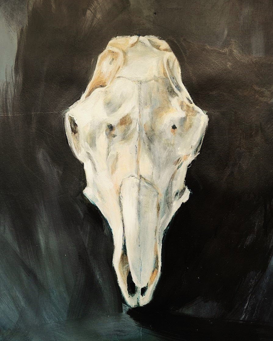 sheep+head+2+website+image.jpg