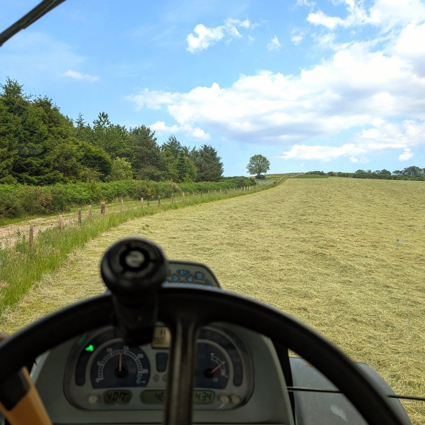 Another busy week! 
Lots going on here, and lots to share over the next few weeks. This week we've had sports day, lodges, garden jobs, lots of sketching, a start to hay making and some planning for the next few months ahead of our school summer brea