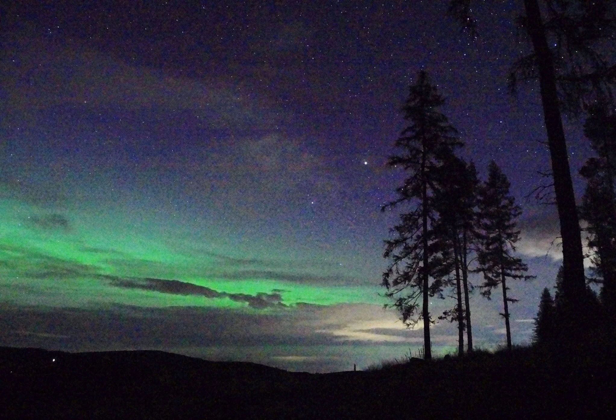 Had a great late night adventure last night with Vhairi Walker Visual Artist and our cameras! Awesome way to start aurora season and nice for me to have some company out with the camera. 

 #northernlights #auroraborealis #aberdeenshirephotographers 