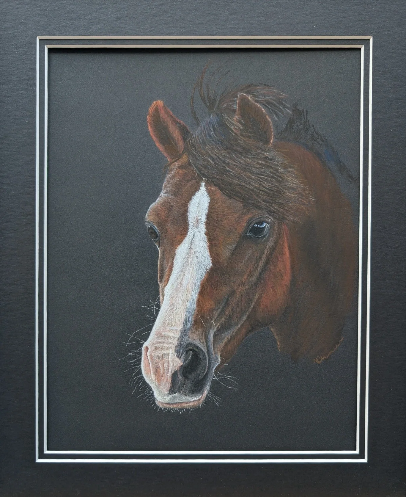This one has taken a while for me to frame... After losing this handsome chap over a year ago I was keen to finally get his portrait (that I'd completed some time ago) framed and hanging at home, but it took me longer than I expected to be mentally r