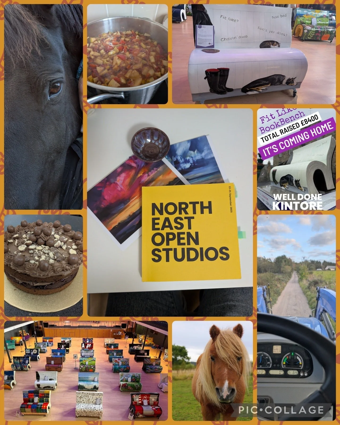 September was another month that flew past, busy with a few new projects, seeing the BookBenches at their farewell weekend, some inspiring North East Open Studio visits, lots of chutney making, cake making, looking after animals and tractor driving!!