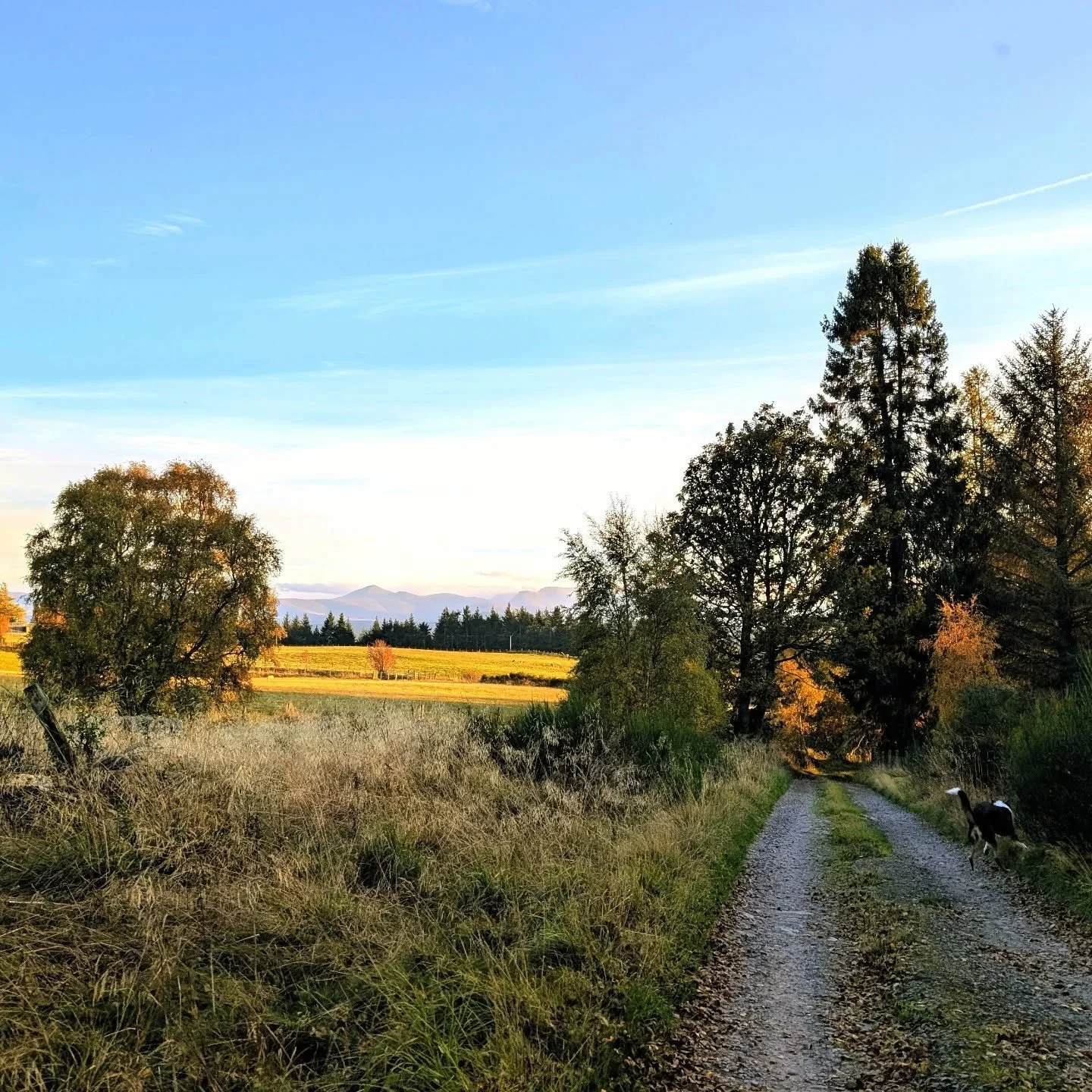 This week and month feels like it has absolutely flown past! It's been a busy month but I also managed some very needed time out too. For the first time in years we took a whole week away as a family, what made it extra special was that we went to a 