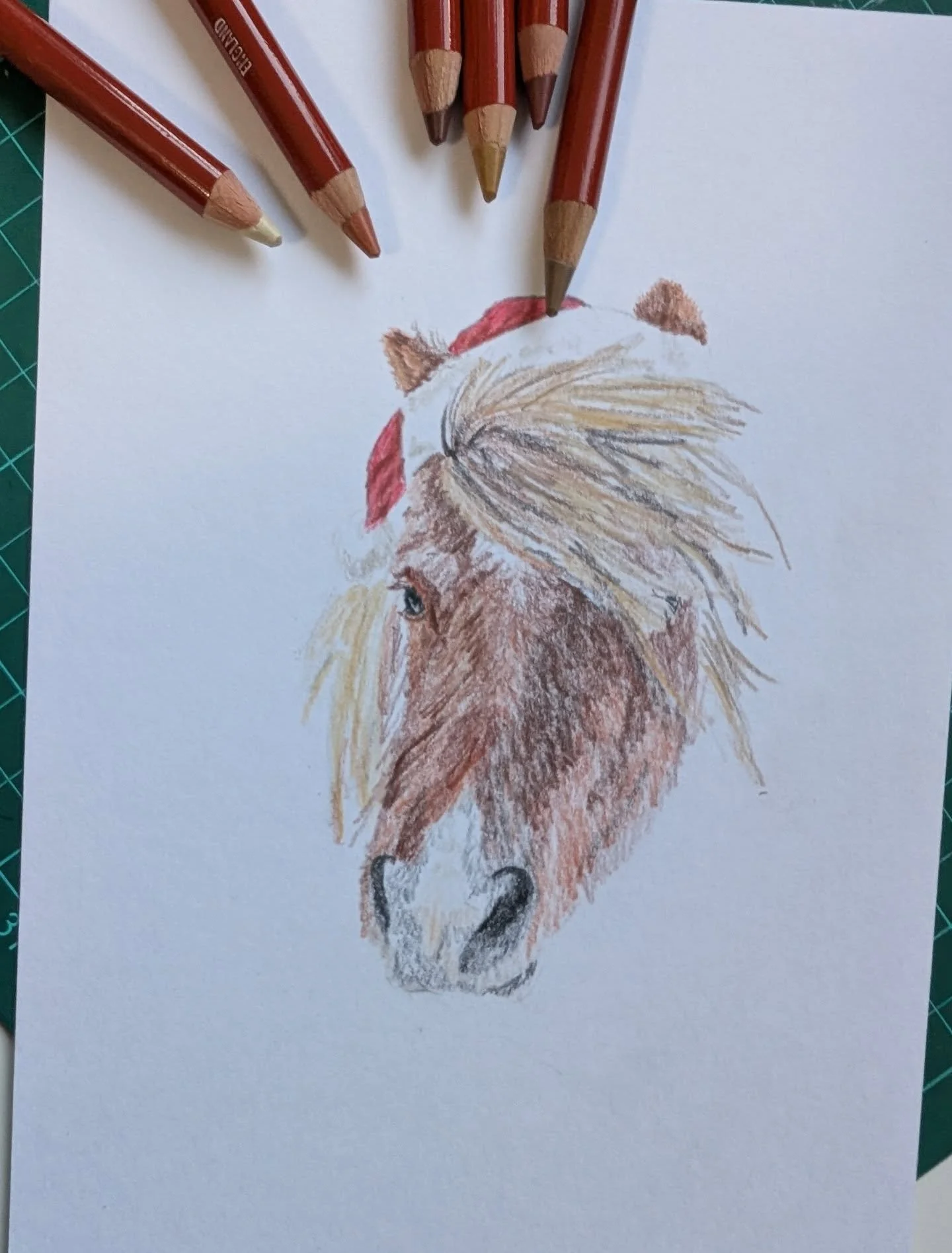 There was a lot to fit in yesterday and not enough hours so my #7daysofderwent didn't get finished. So here is day 5 'winter wardrobe' before I get started on today's. I had to feature wee peanut at some point this week so here he is in his Santa hat