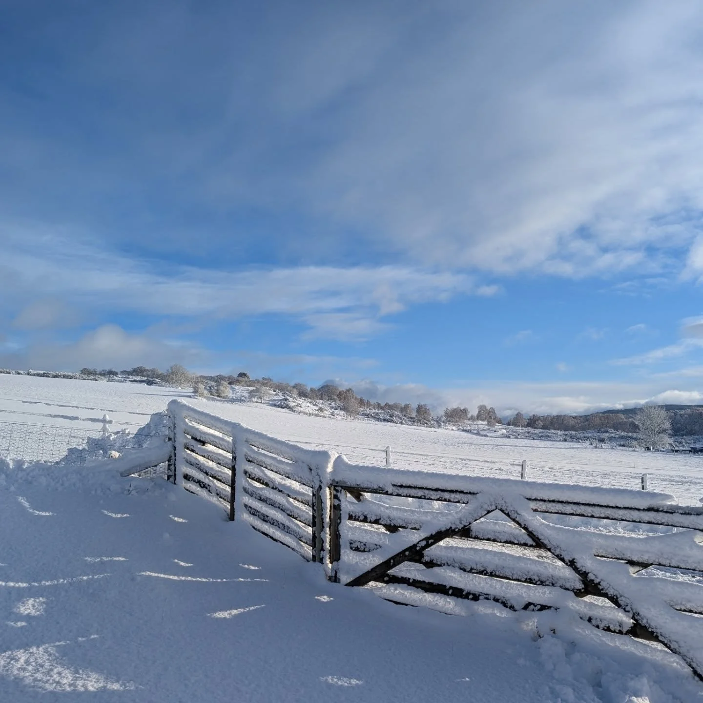 Happy New Year! 
It may have looked pretty but I am relieved that there has been a bit of a thaw for us today, I'm hoping it might be a slightly easier week ahead, I can top up supplies and hopefully work on some creative projects. 
Is everyone else 