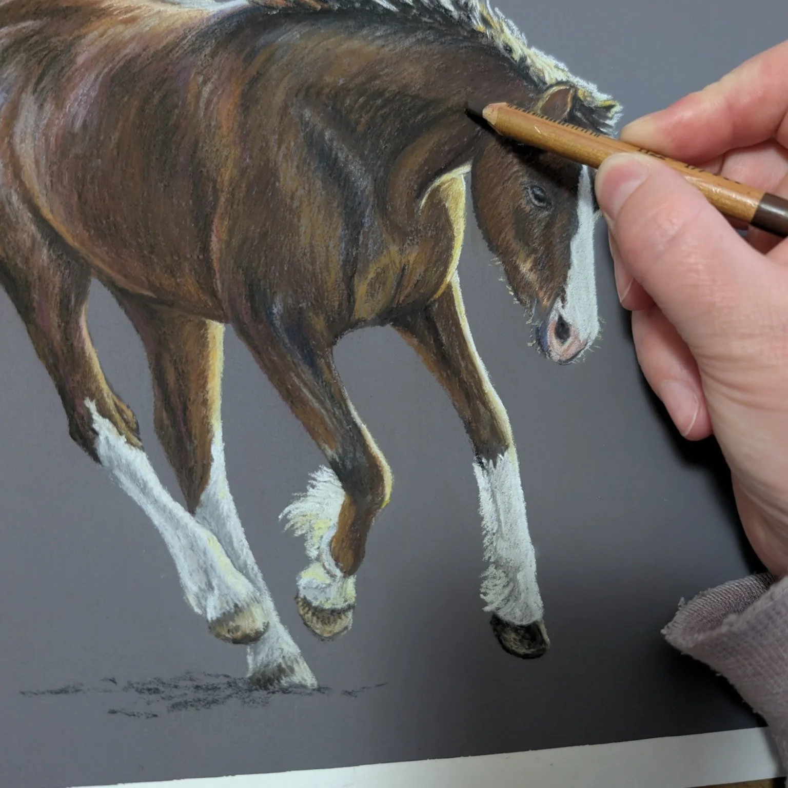 January was a very busy month here and also very wet and cold, we are all a bit soggy and fed up! 
Although at times it felt a bit of a struggle and I didn't feel as productive as I wanted I was pleased to get lots of admin jobs done and work on some