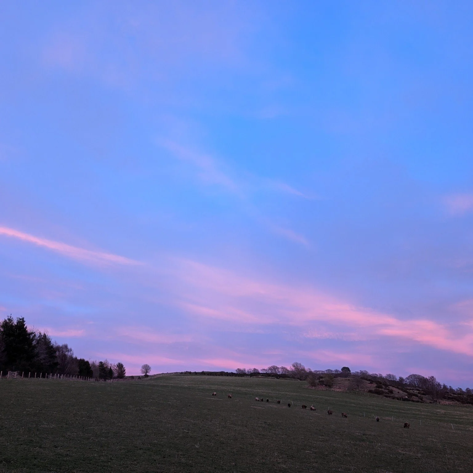 Another busy few days here, we've had some lovely weather, got out on a wee adventure with kids and dogs yesterday, managed some sketching outside and our wonderful little wild child turned two.  Another busy few days ahead and then I'm really hoping
