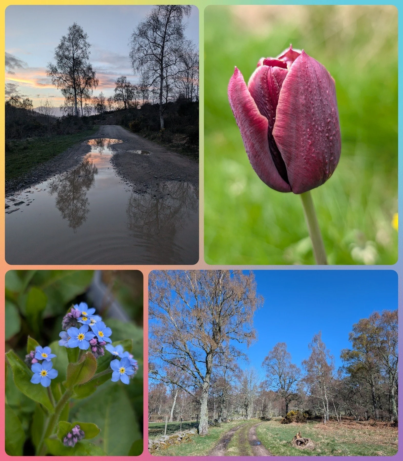 There has been a definite lack of posts on here lately despite my best intentions! The truth is that I'm really struggling to balance everything at the moment, I have a hectic household with young kids, I look after some local holiday lodges, there i