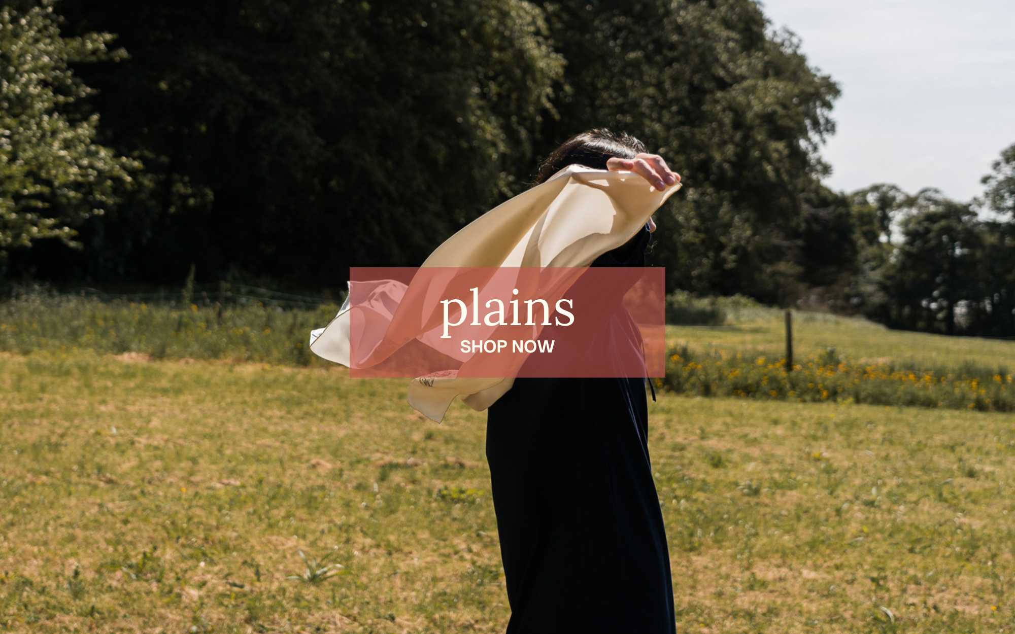 Shop Leisl Plain 100% Silk Scarves