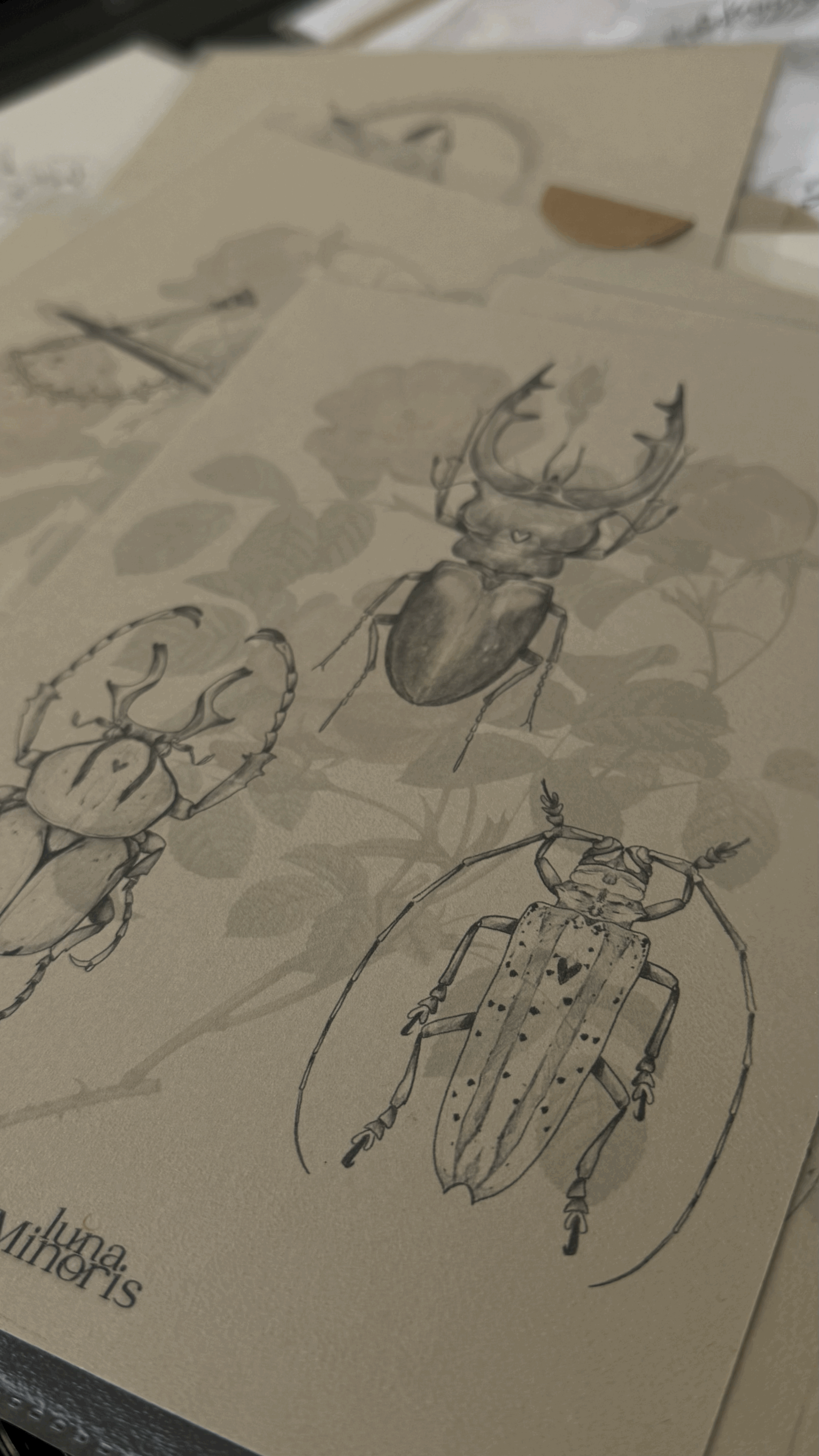 A5 - trio de bêbêtes