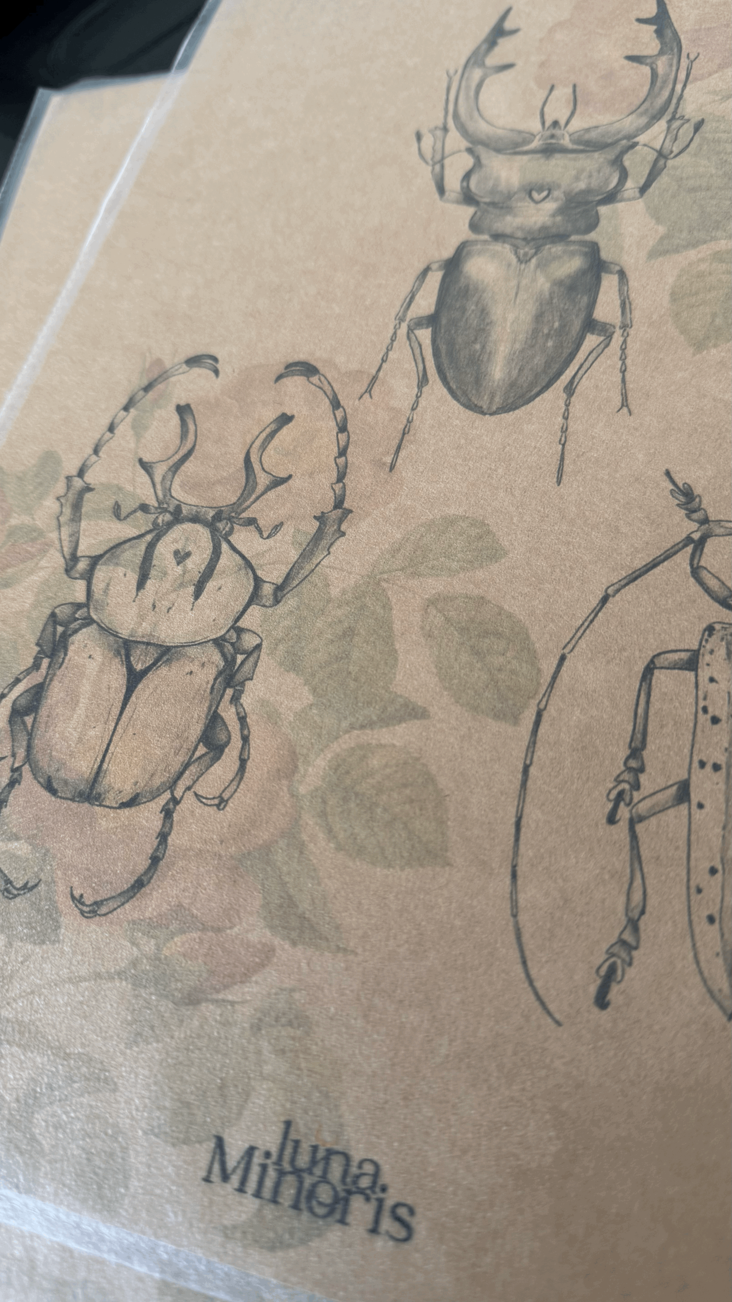 A4 - trio de bébêtes