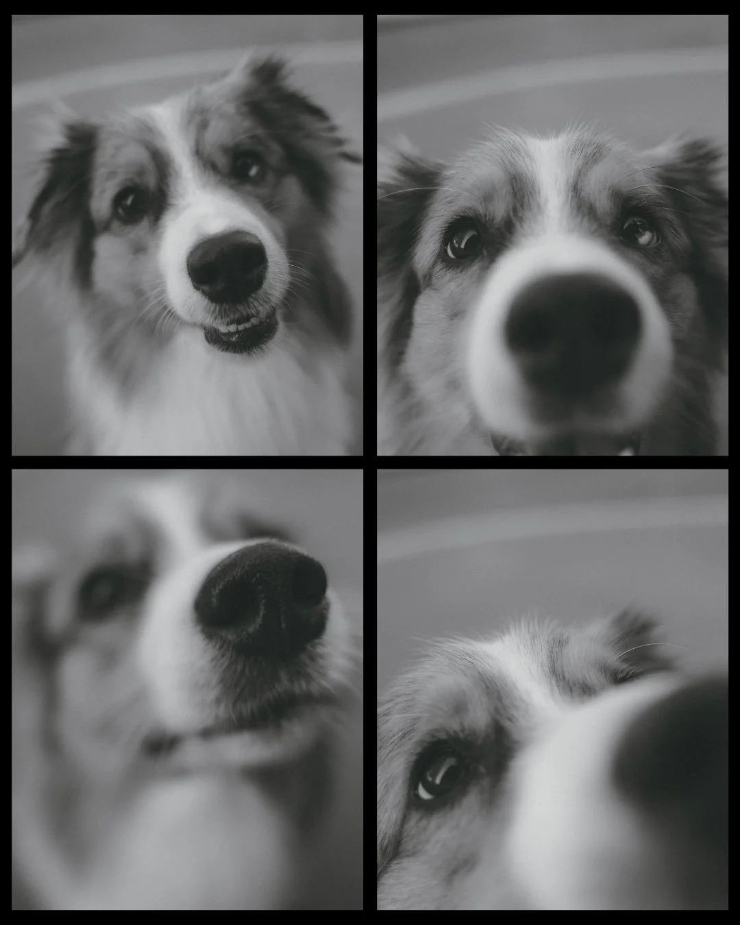 Design sans titre-2.jpg