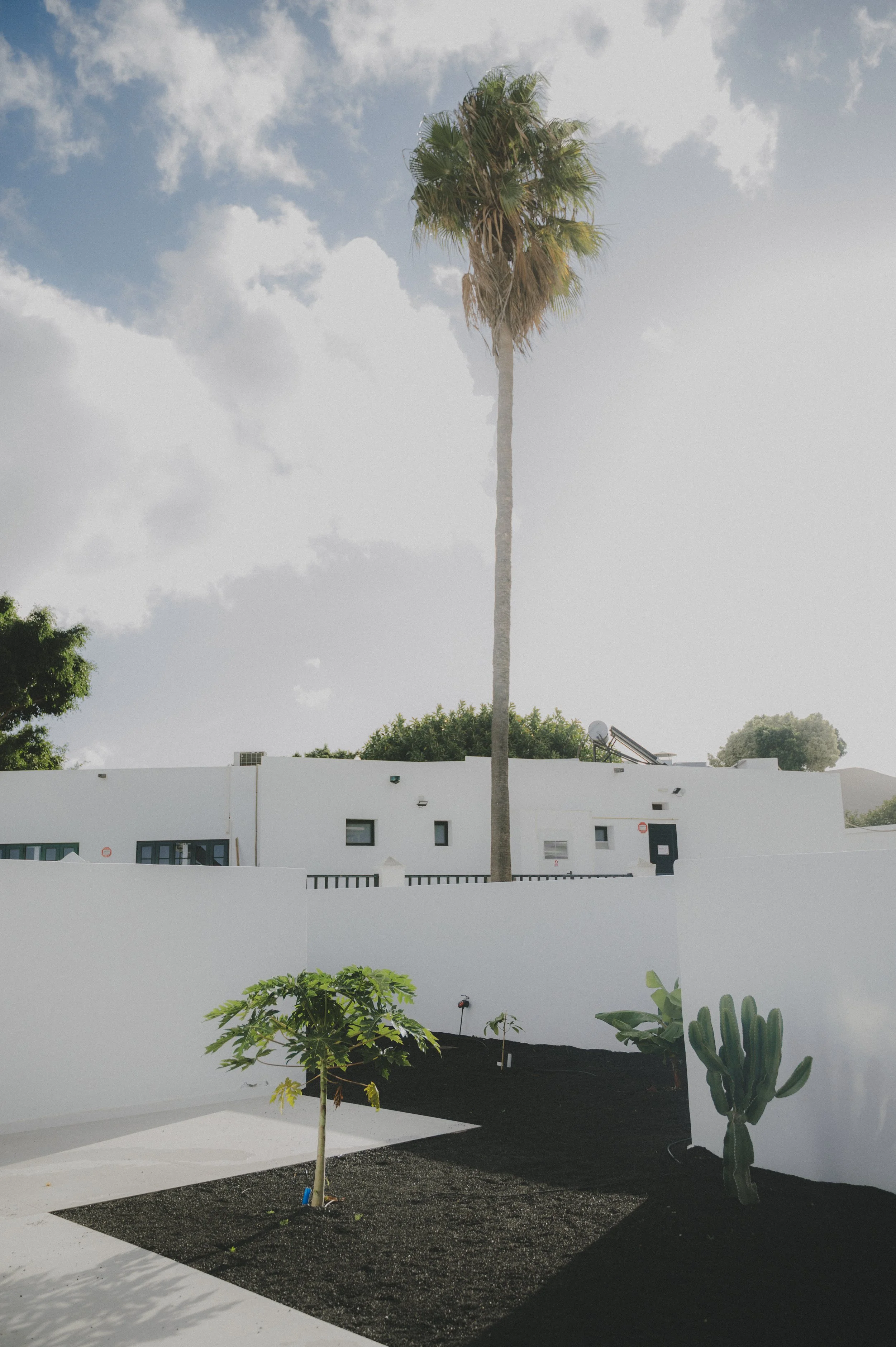 Photographe hospitality : jardin ensoleillé, Unité Olivina, Lanzarote