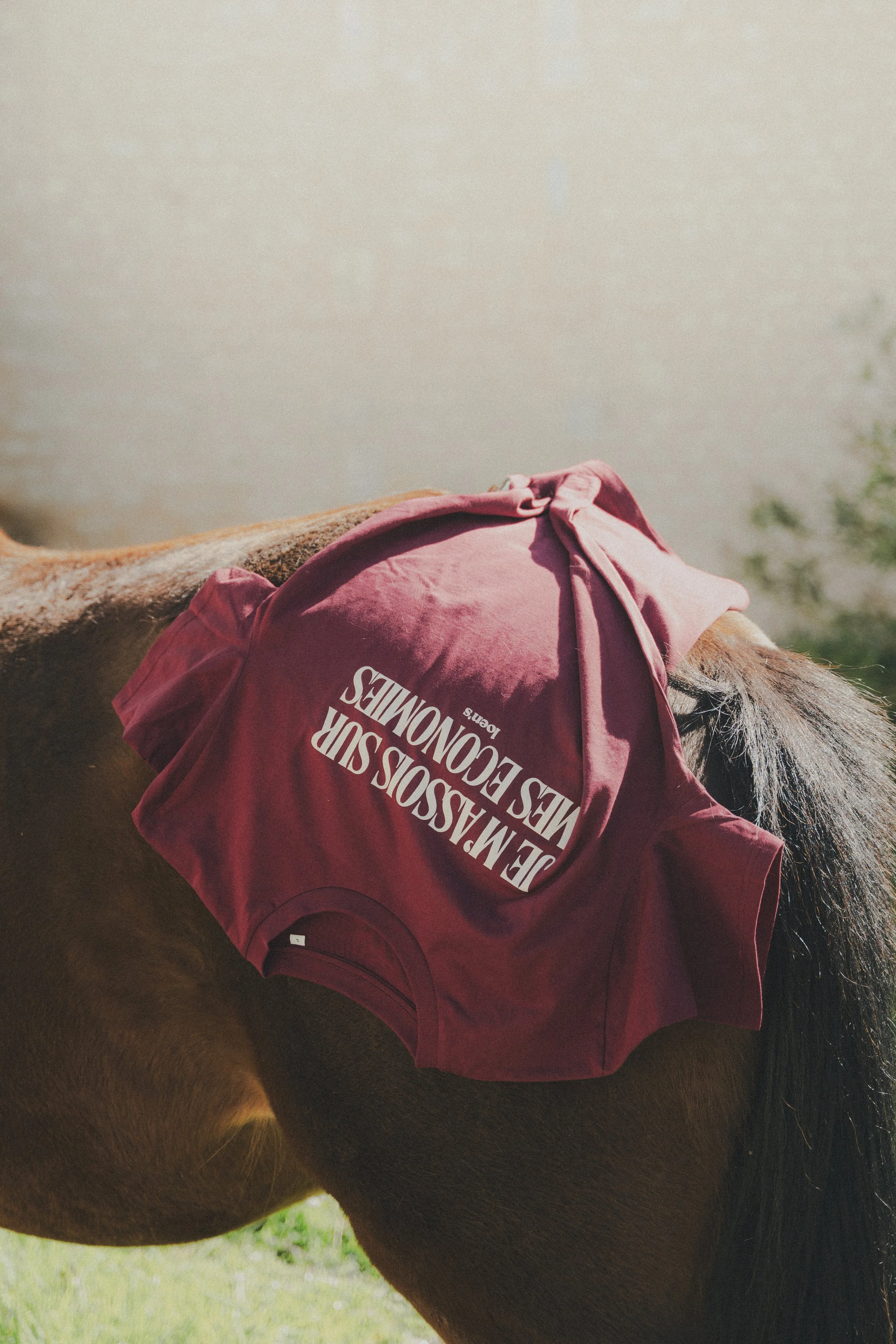 Photo d'une mise en situation d’un tee-shirt Loen’s Equestrian sur un cheval