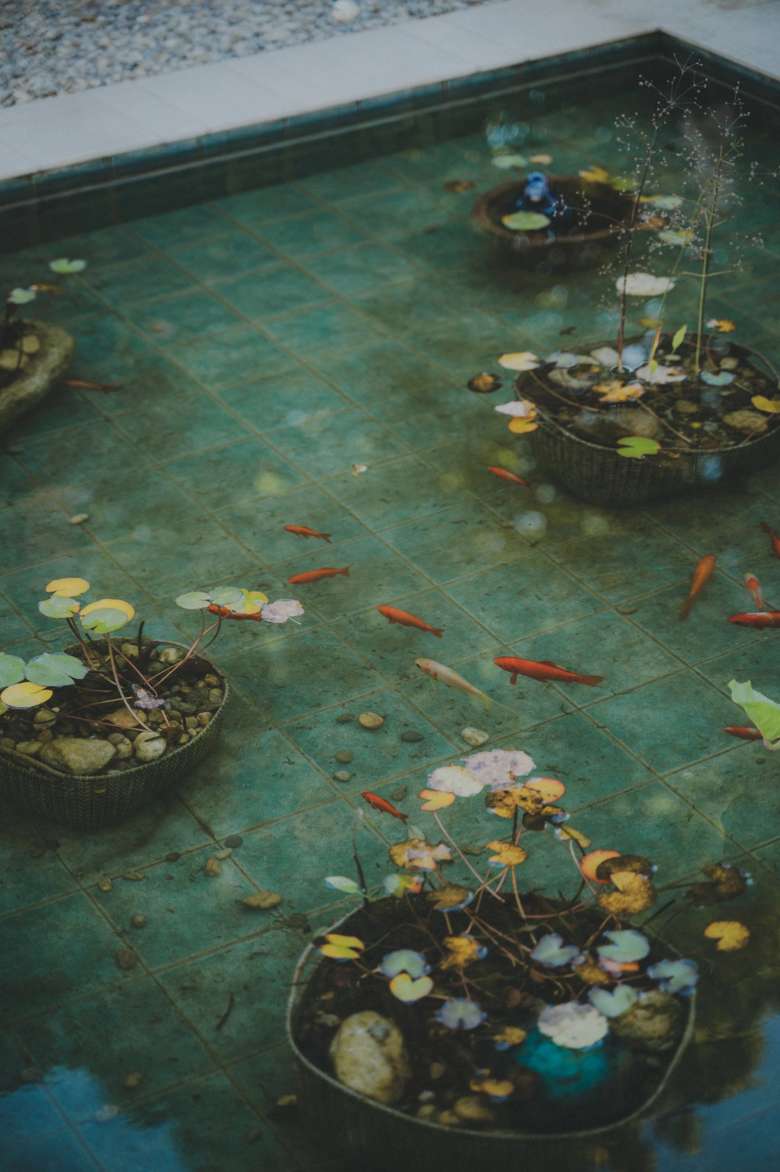 Détails et atmosphère capturés lors d’un reportage photo de mariage