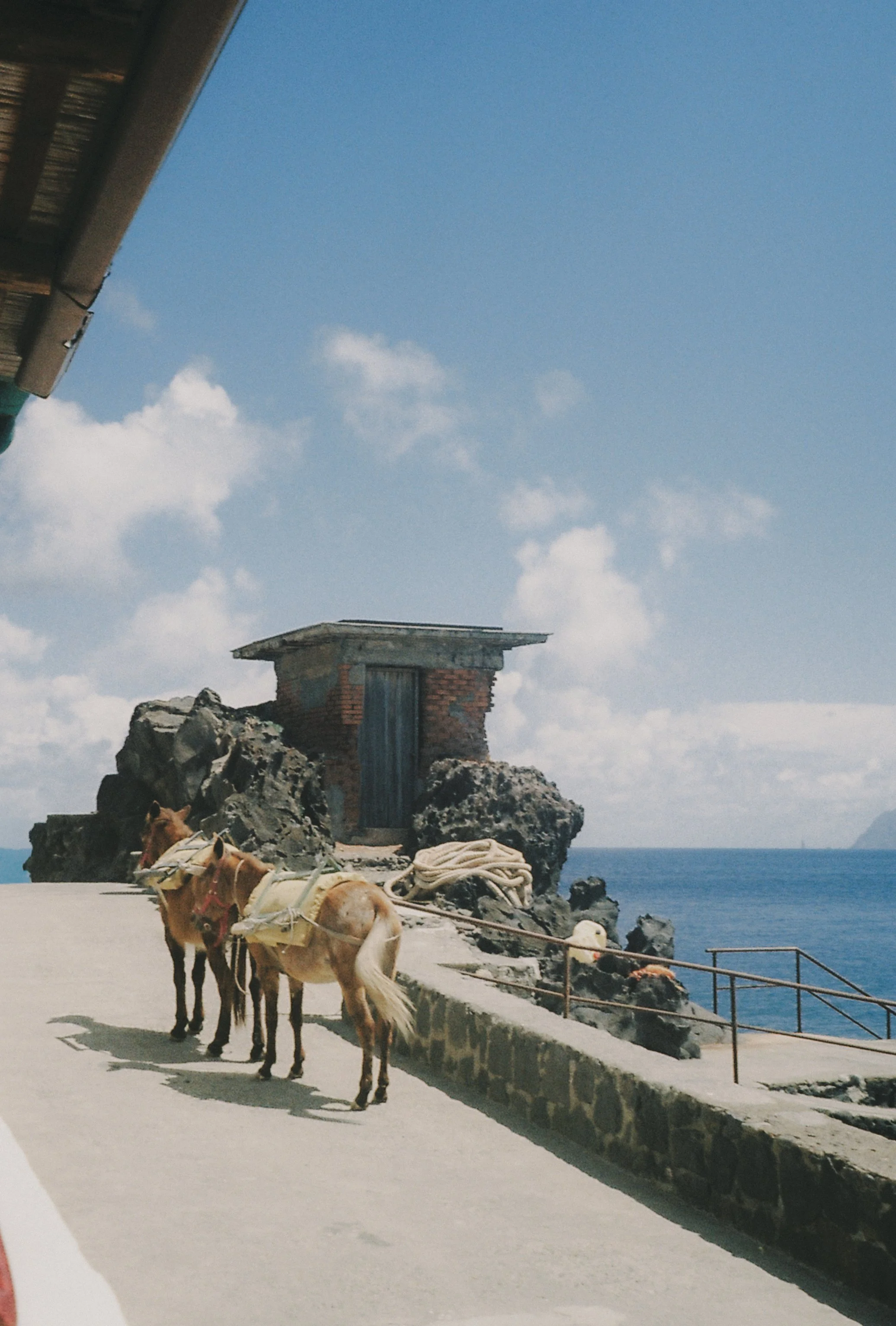 photographie argentique : vie locale sur l’île d’Alicudi, ânes et paysages éoliens