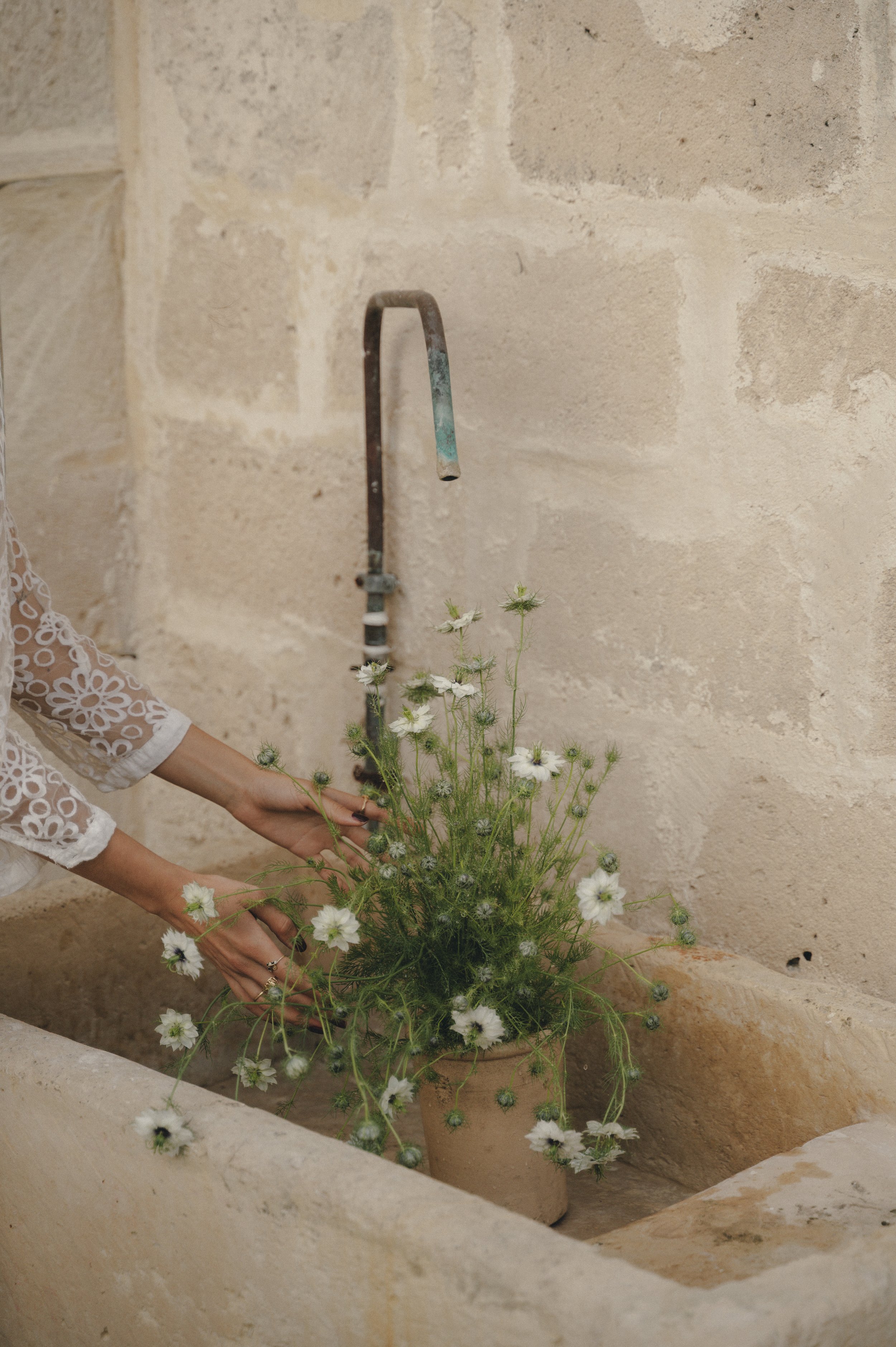 MASSERIA-PEZZA-15.jpg