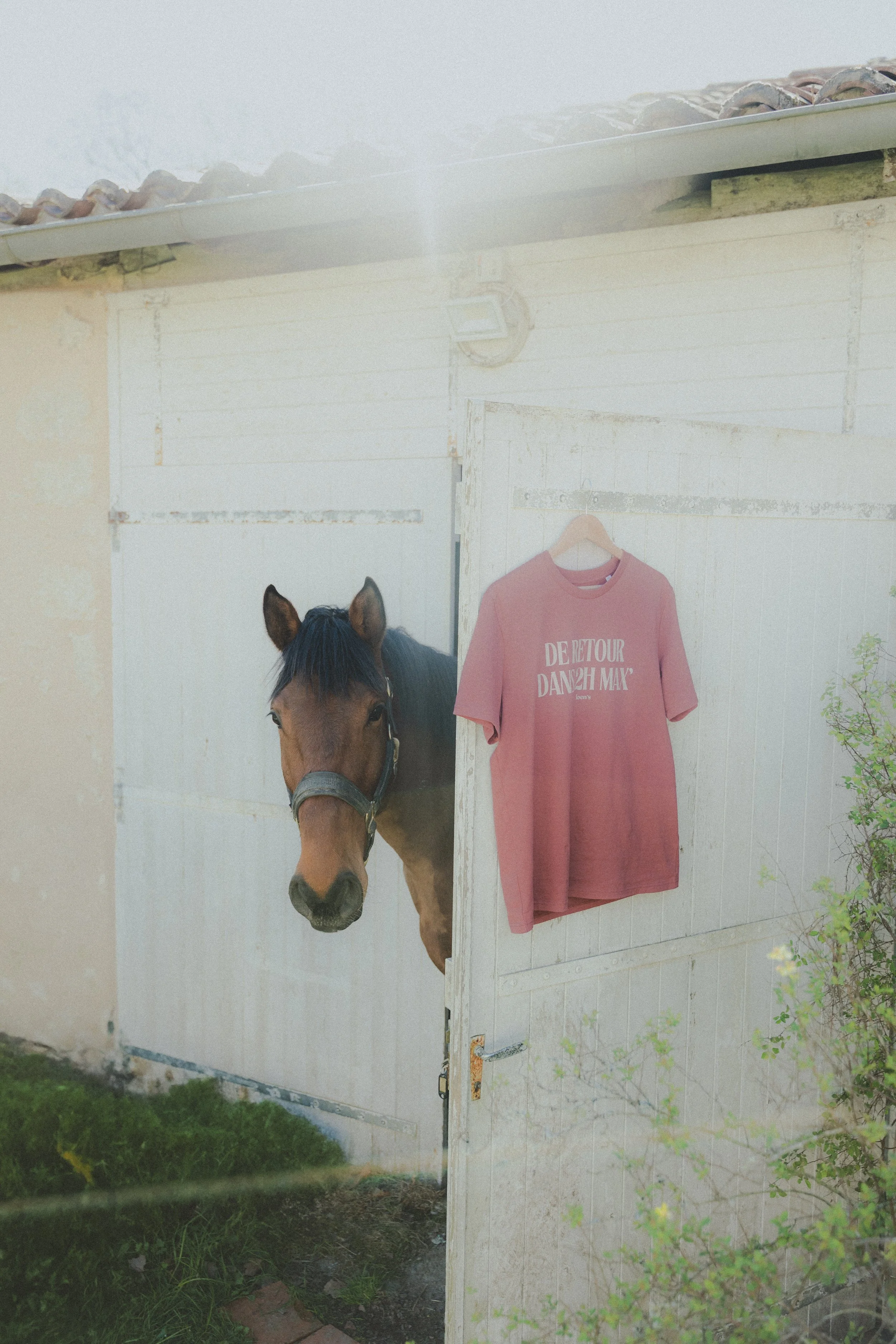 Photographie lifestyle d’un tee-shirt Loen’s Equestrian suspendu sur un box près d’un cheval
