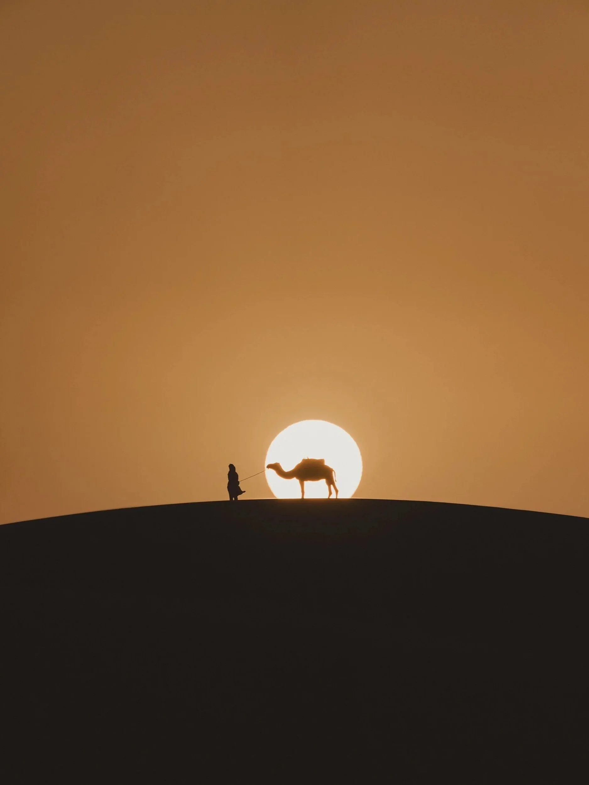 Morocco desert camel photographed by London-based travel photographer Rob Ash