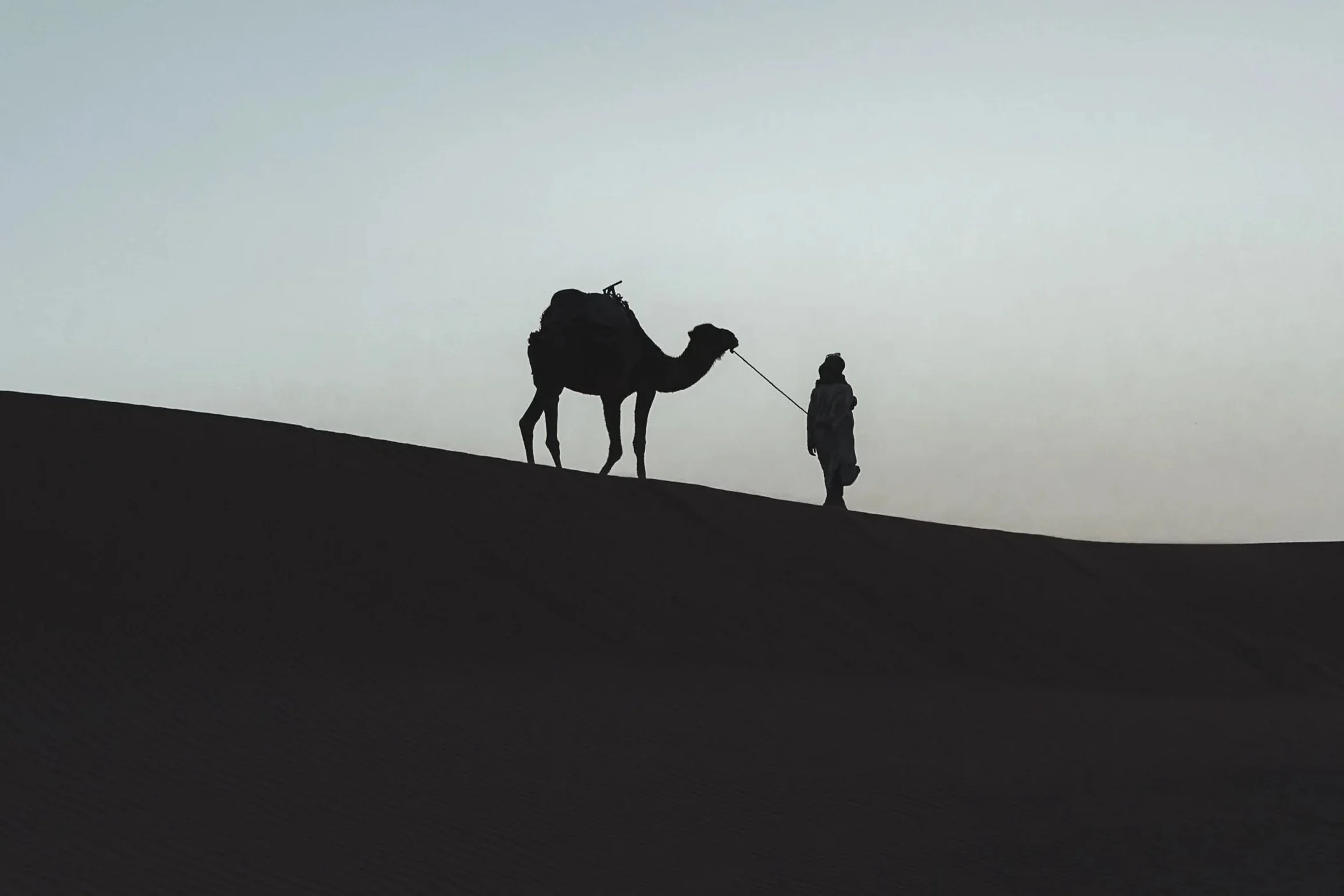 A camel silhouette in Morocco desert during blue hour, photographed by London-based travel photographer Rob Ash