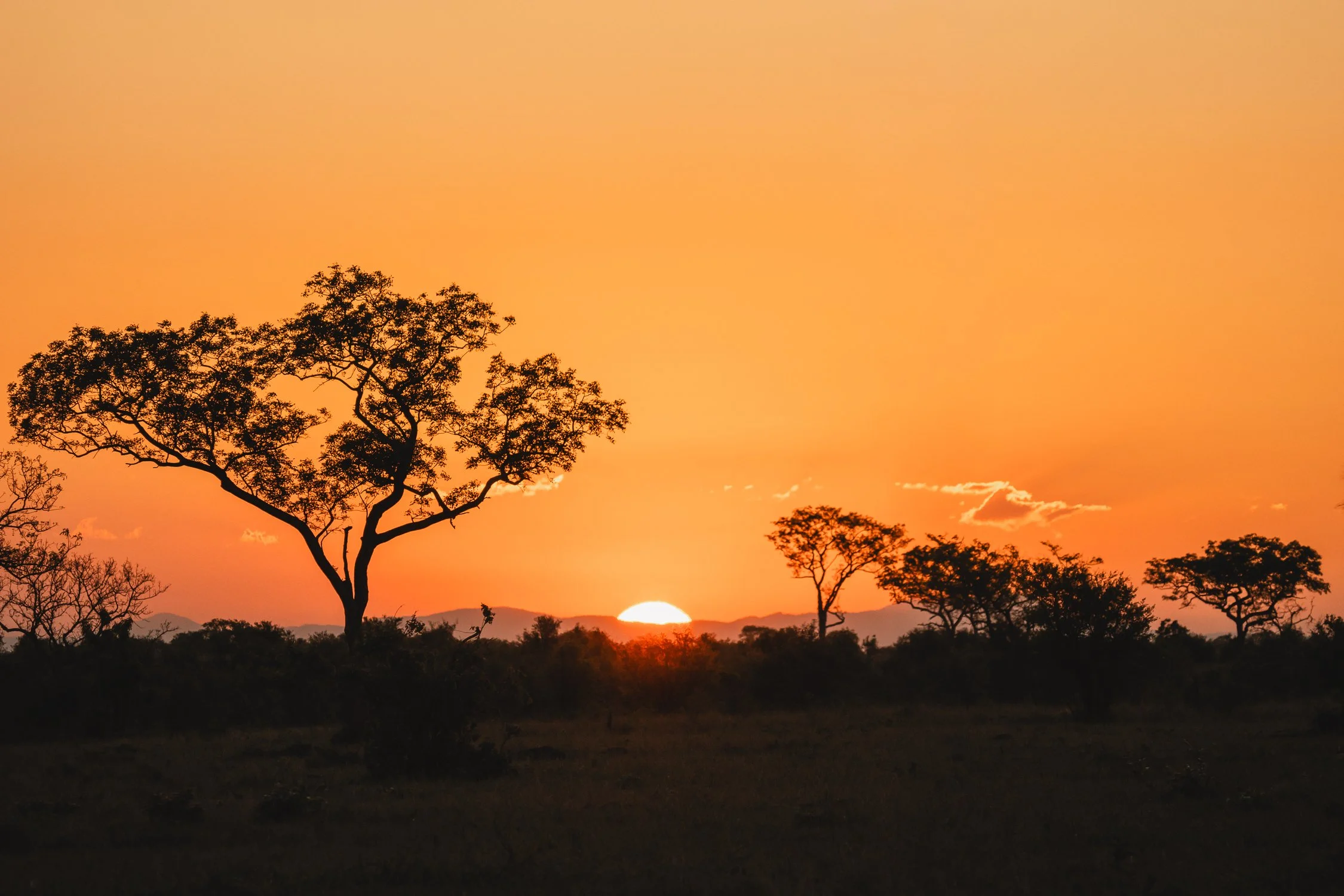 Sunset-Sabi-Sands-Rob-Ash.jpg