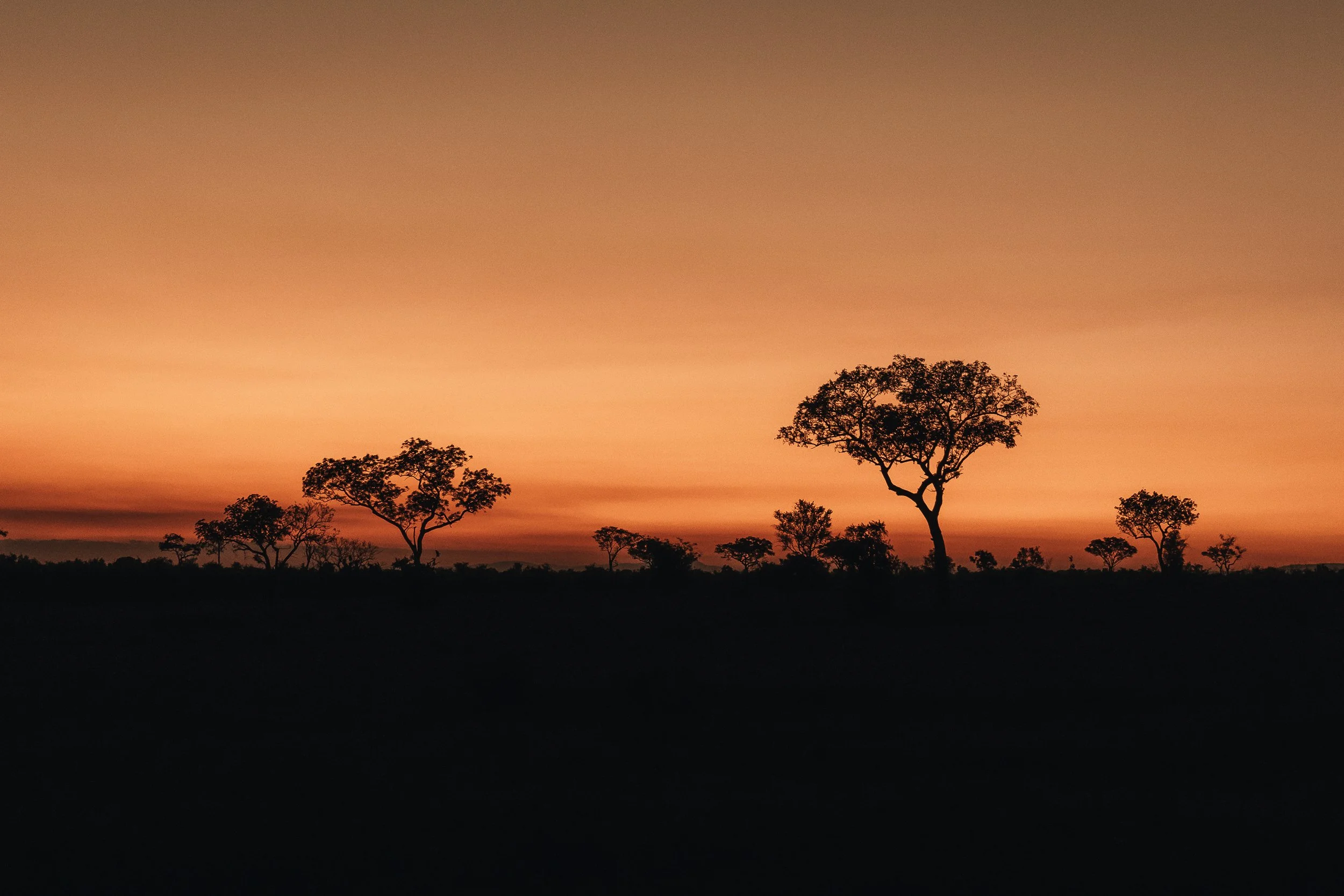 Sabi Sands photographed by London-based nature photographer Rob Ash