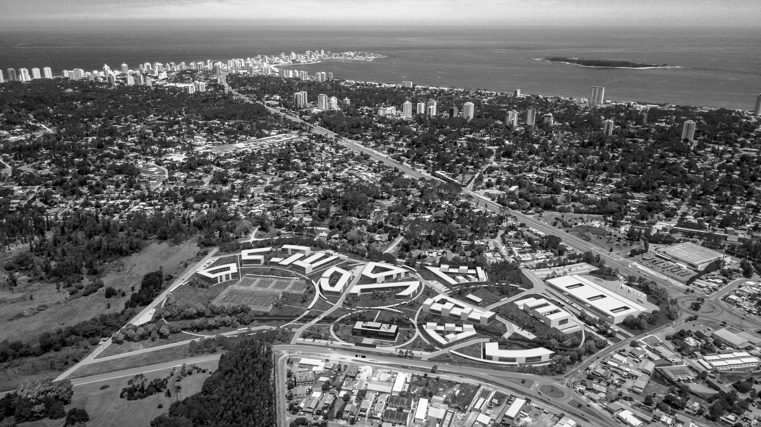 MAMAHUETE (1 of 1) (3).jpg