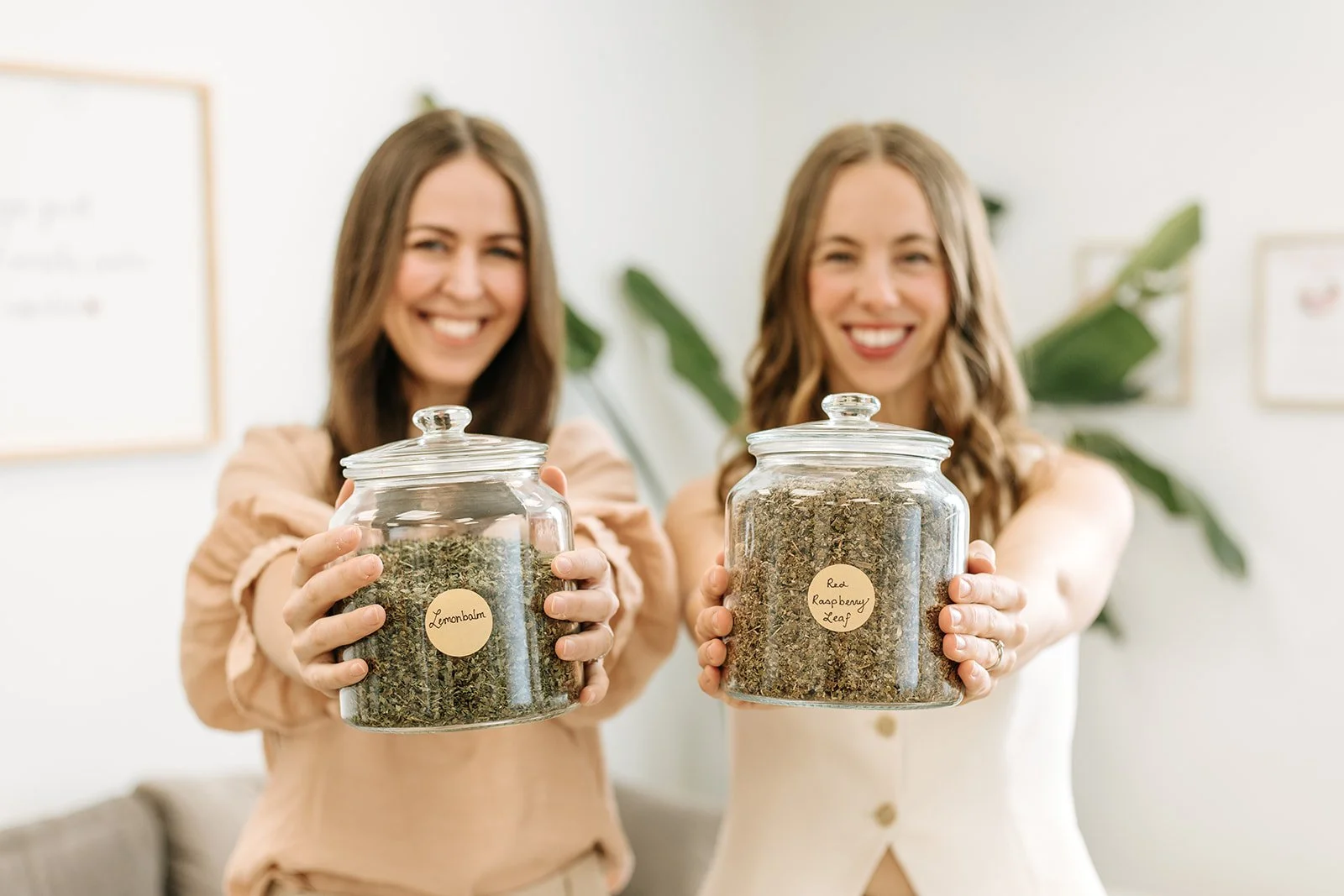 Guelph-Branding-Photographer-Elle-Chic-TheWomb-35_websize.jpg