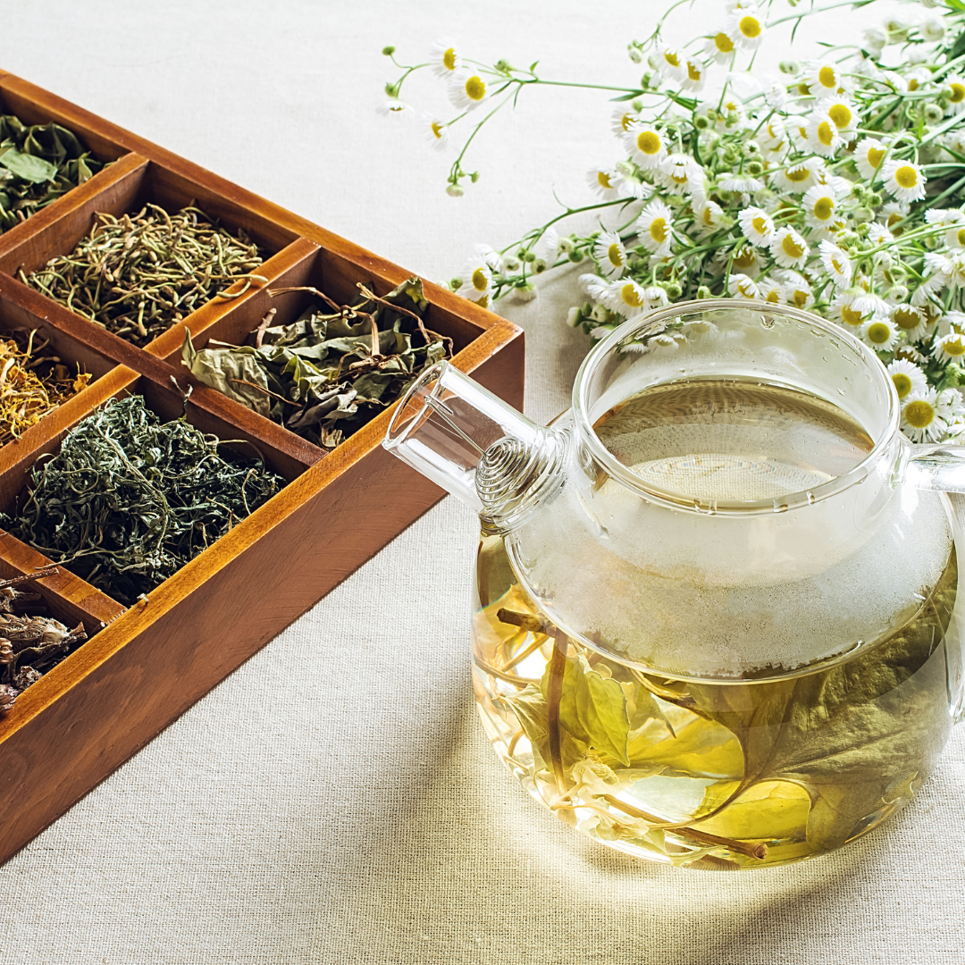 herbal-pregnancy-workshop