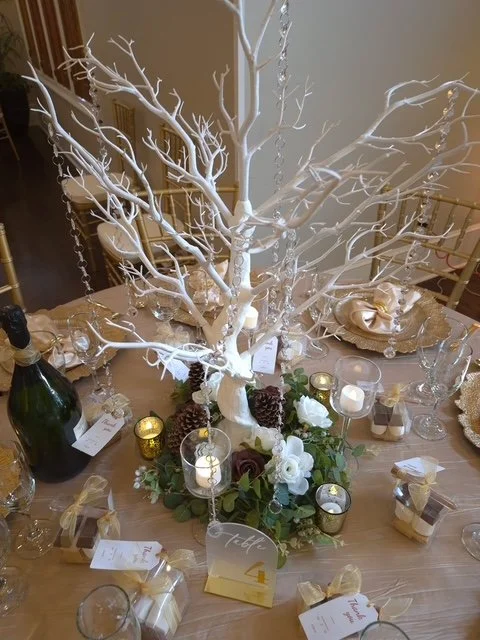 8845937675528543268 2.JPG