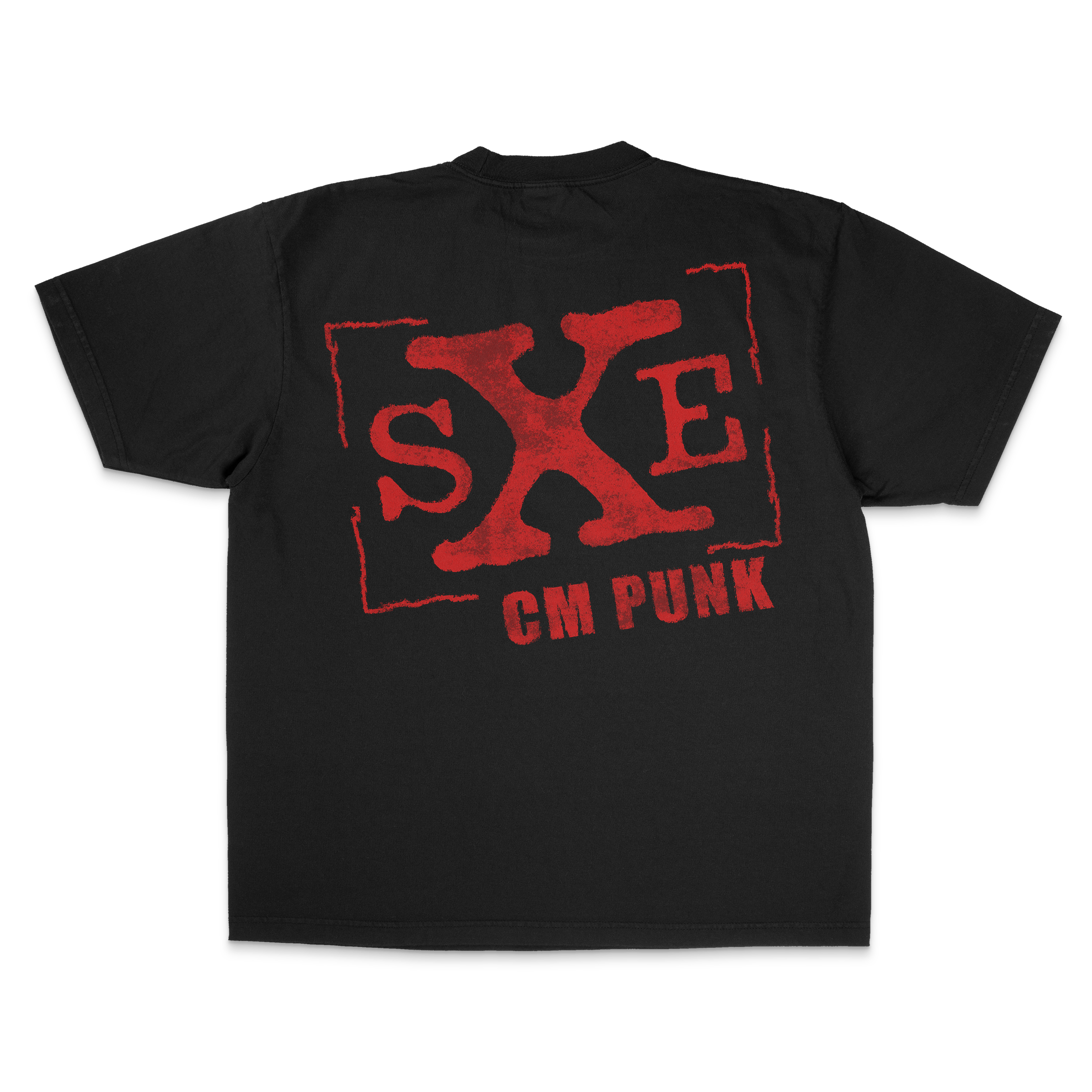 SLCM PUNK TEE B.png