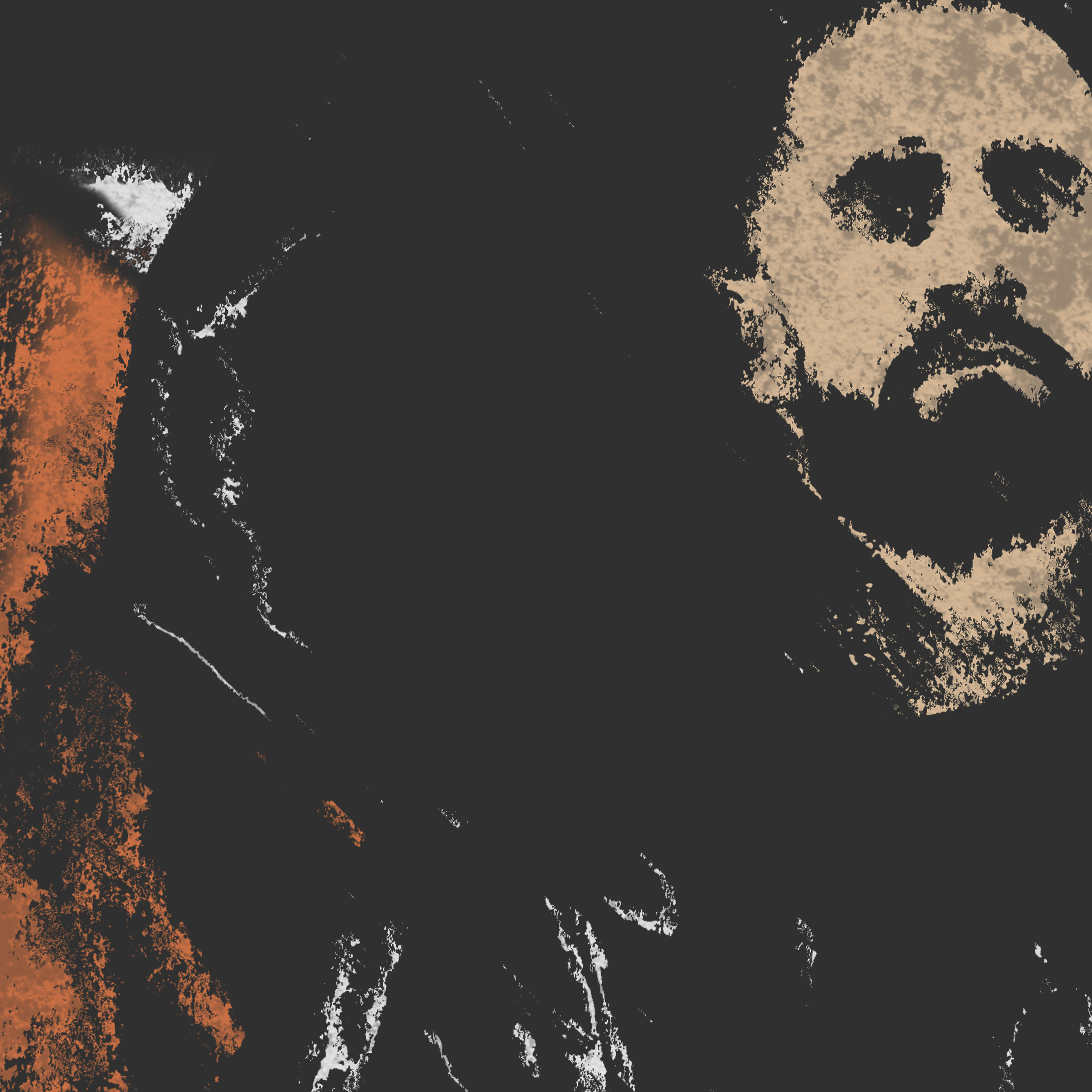 burn wm41 B FILE.png