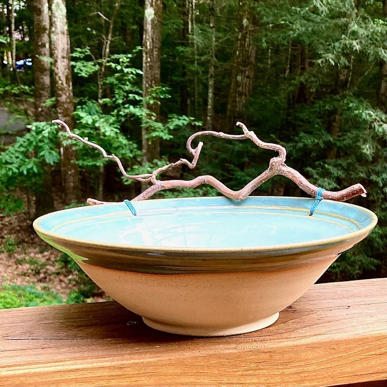 turquoise bowl lg branch detail 2.jpg