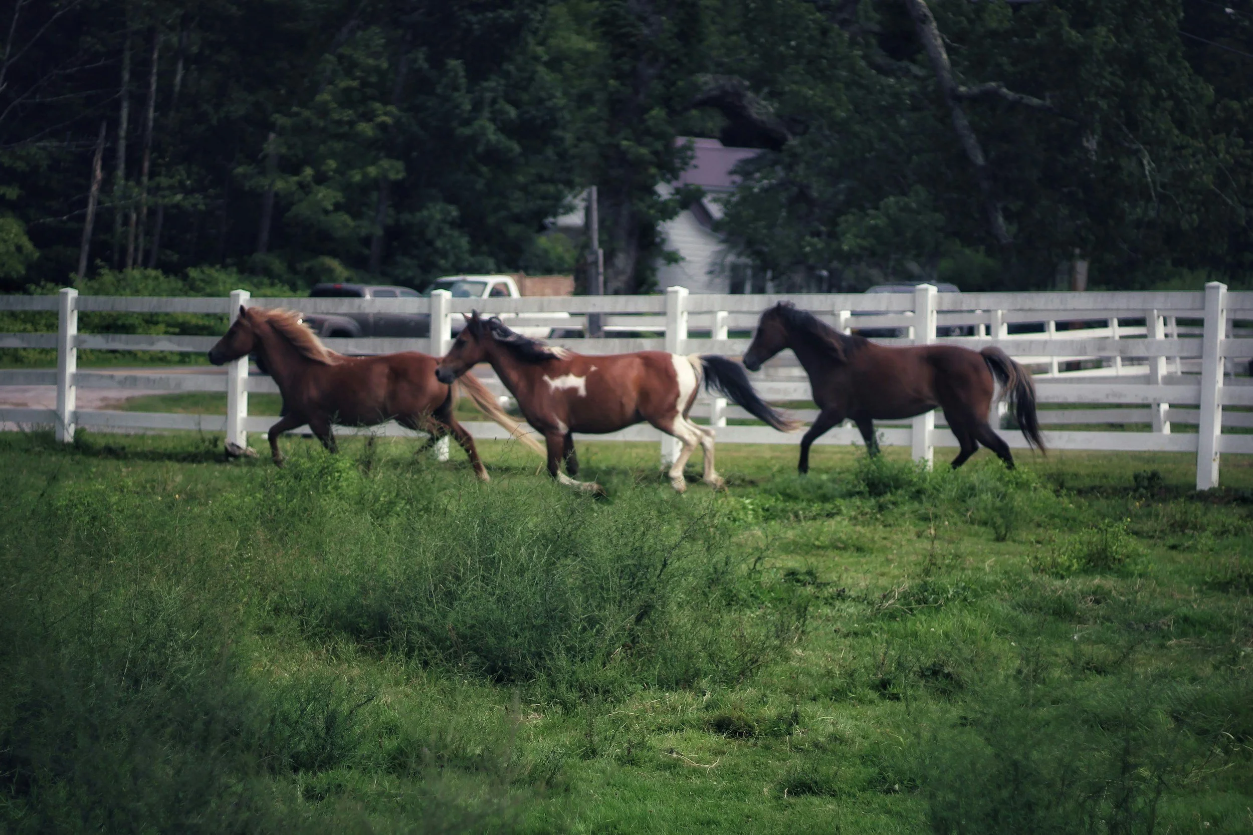 Cheltenham - at The Ship