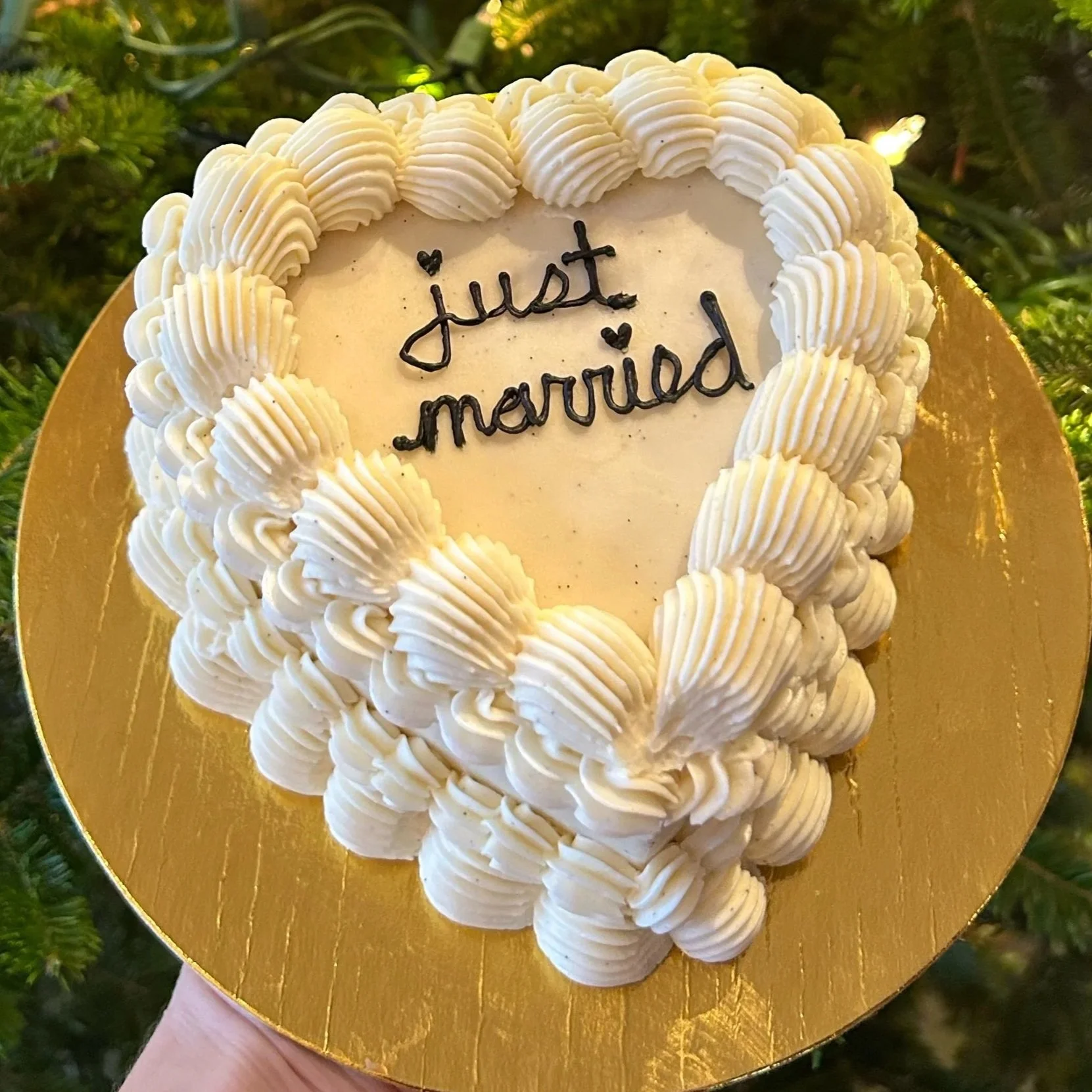 Just+married+cake_IMG_0004.jpg