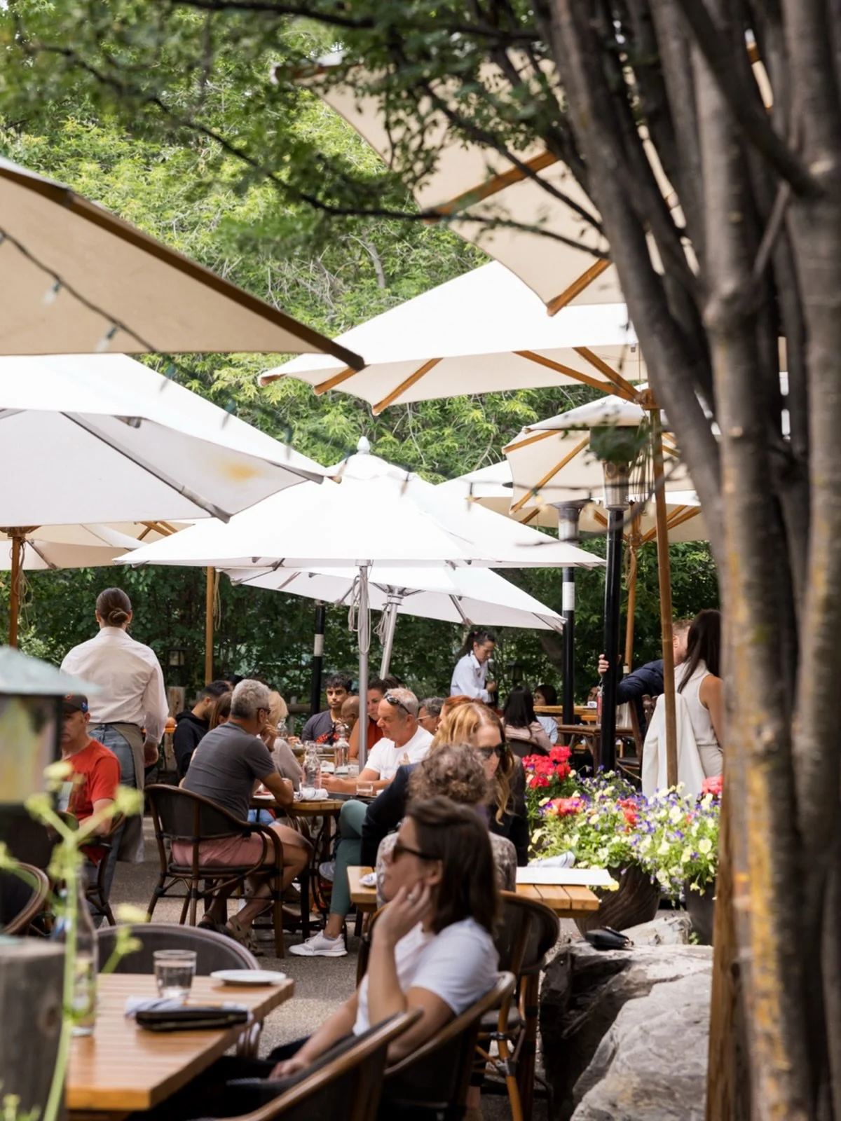 Your favourite patio in the city is open. Let&rsquo;s enjoy this weekend outdoors. See you in Prince&rsquo;s Island Park. 

#yycpatio #yyceats #princesislandpark #calgary #yycdining