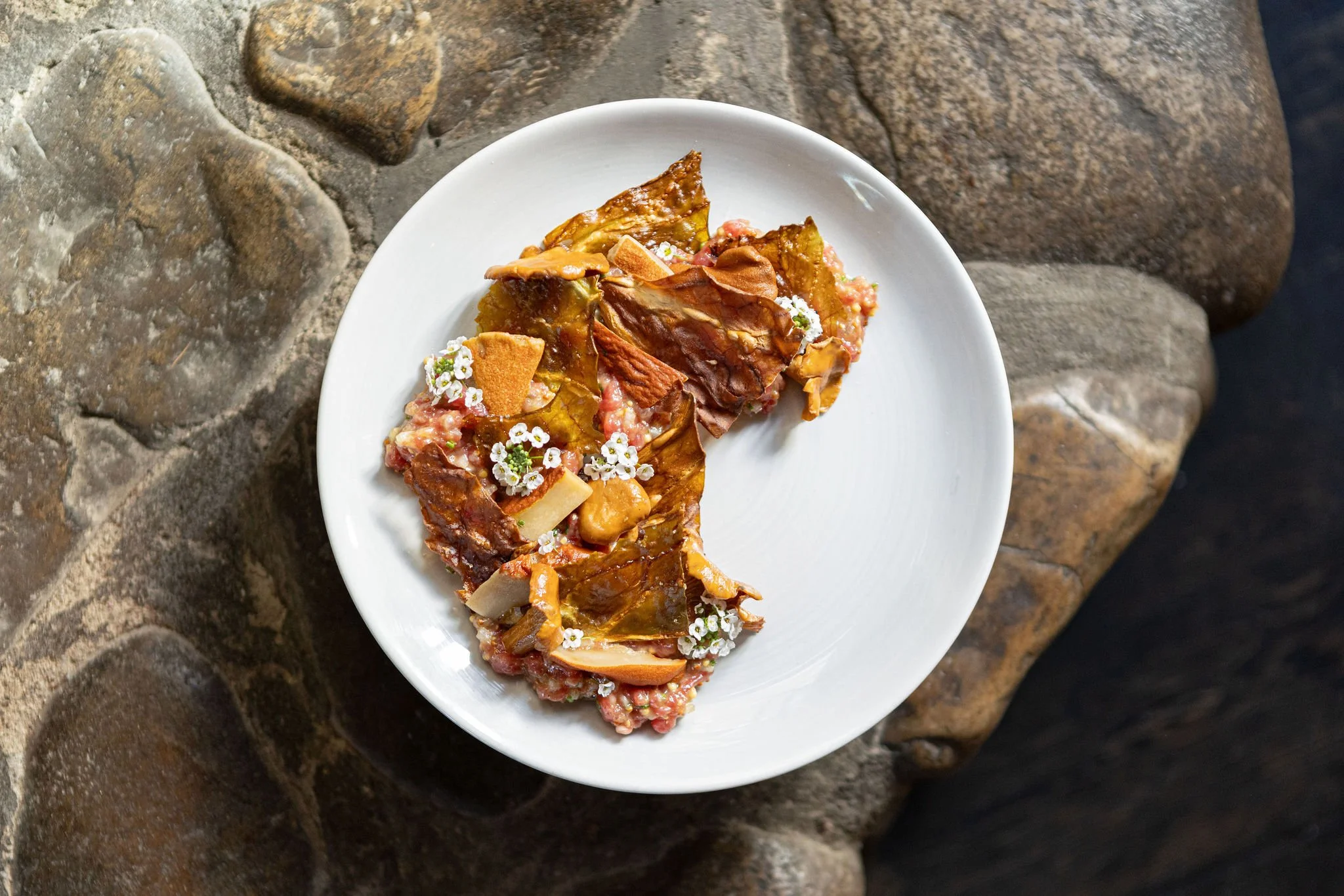 Roots and Shoots Dinner