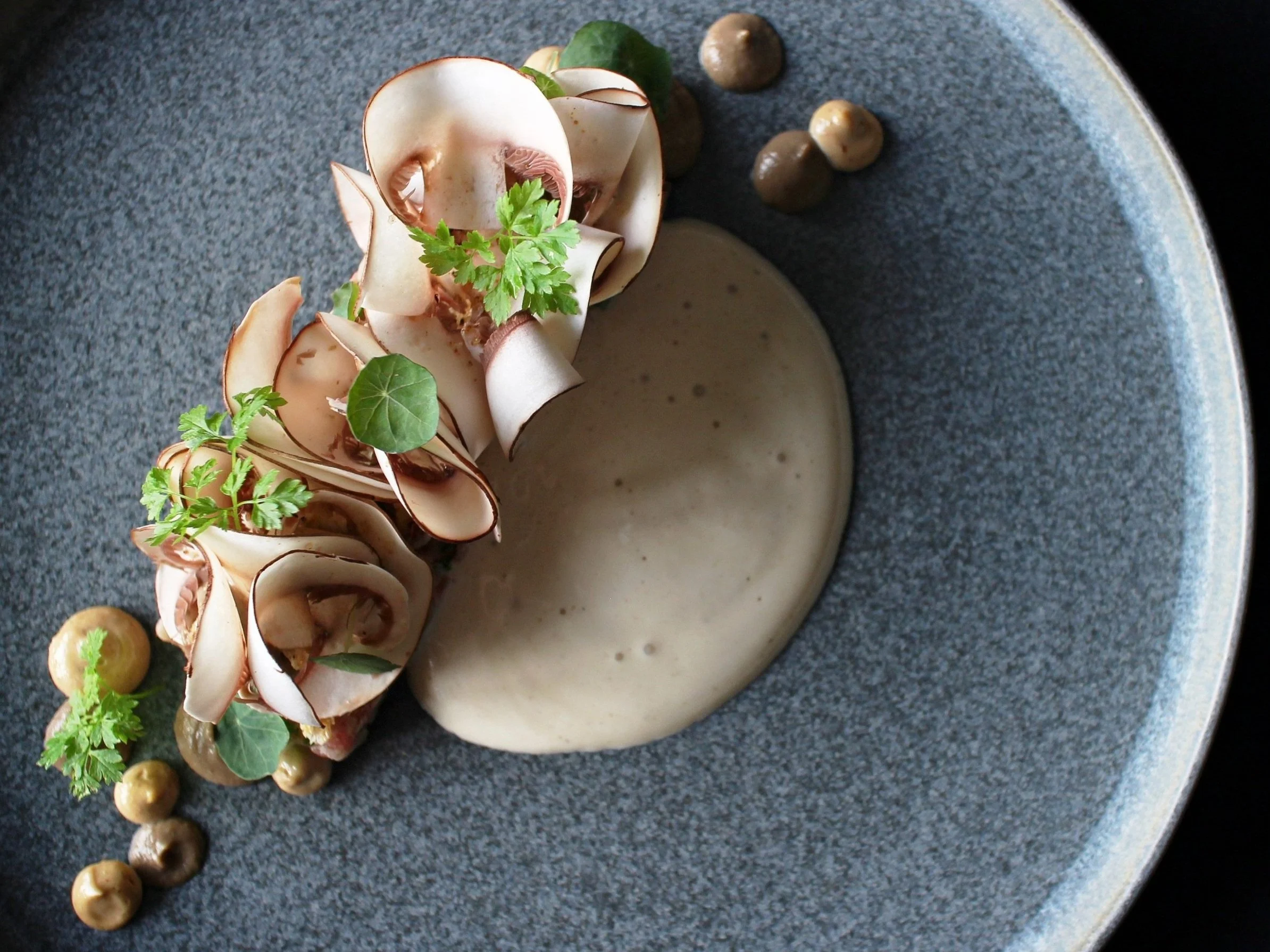 Elegant dish with thinly sliced, curled white and brown seafood or vegetable garnished with leafy herbs, accompanied by a creamy sauce and small round dollops on a gray plate.