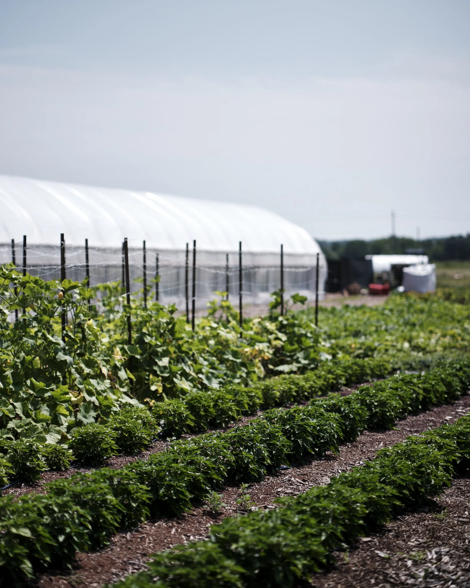 GPM July 28 2023.jpg