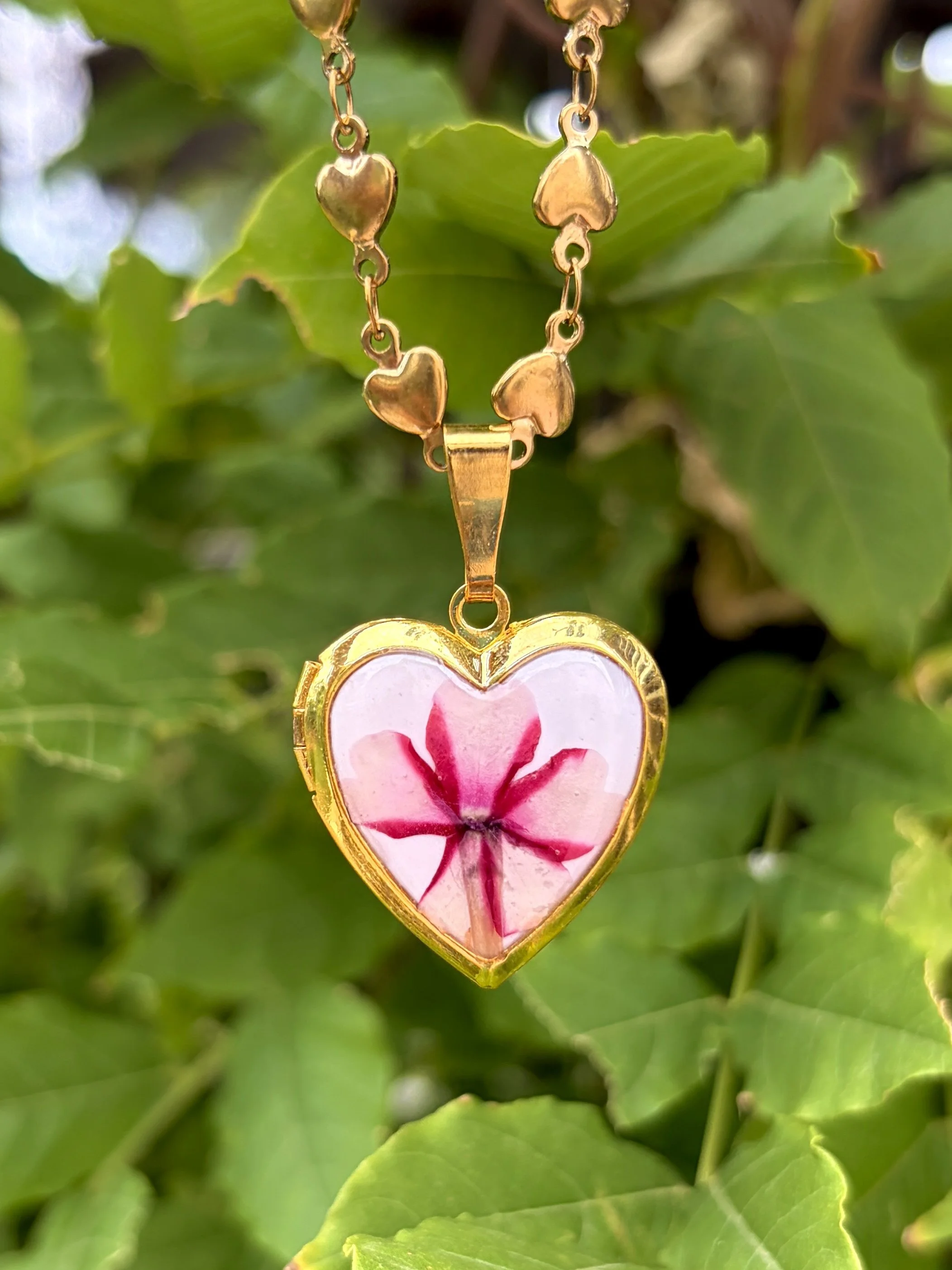 Blush Locket