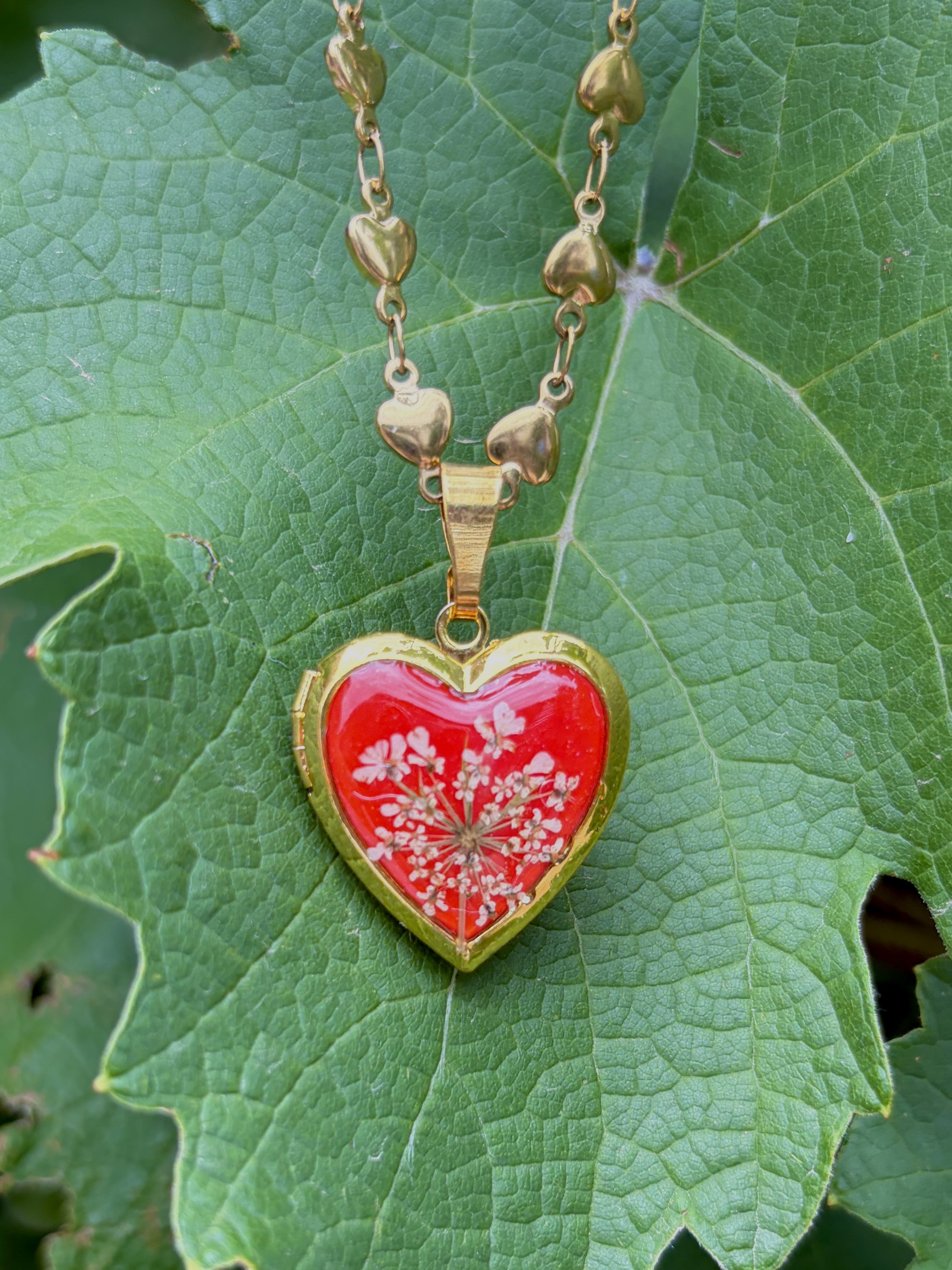 Apricity Locket
