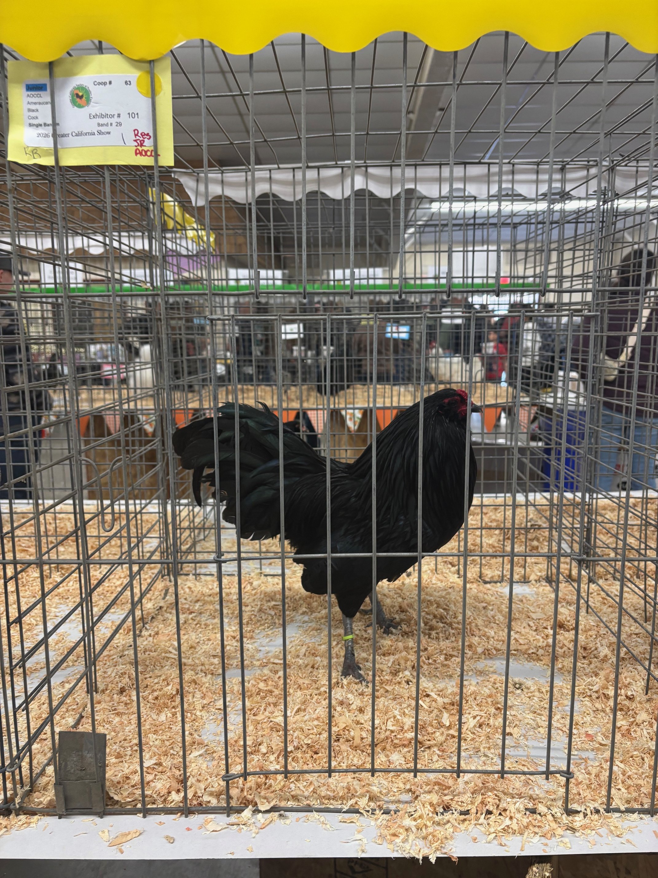 FresnoShow1.jpeg